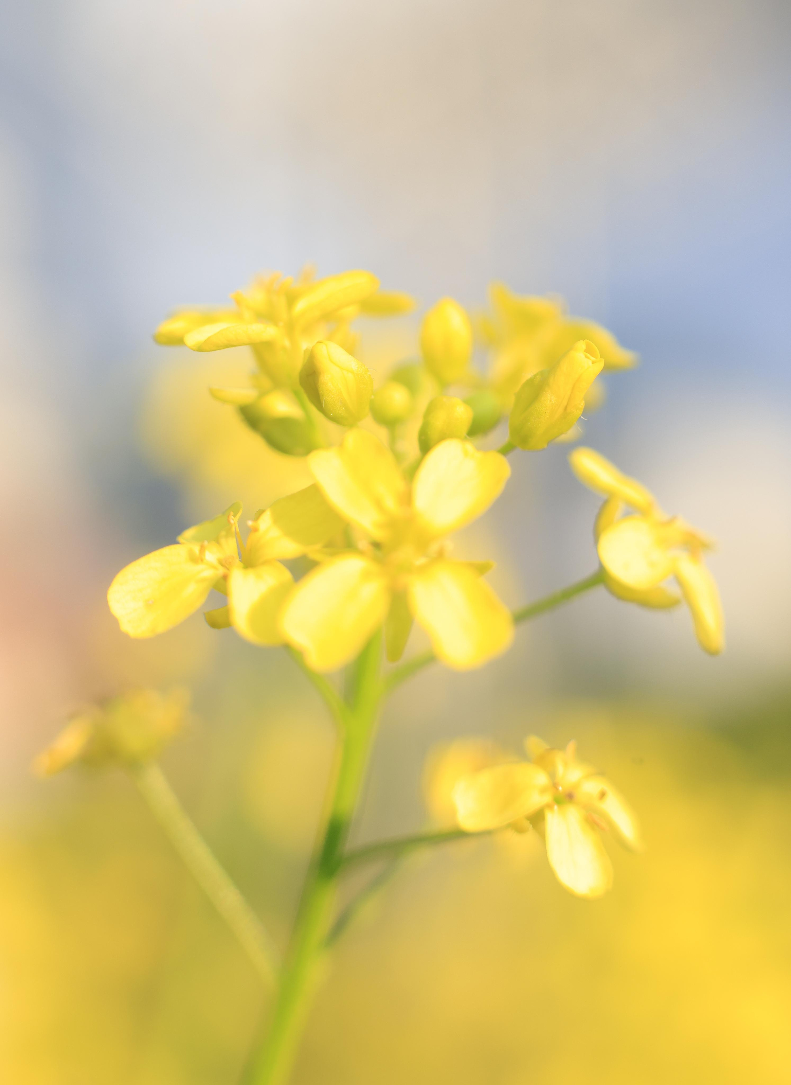 Природа. Фотохудожник BID