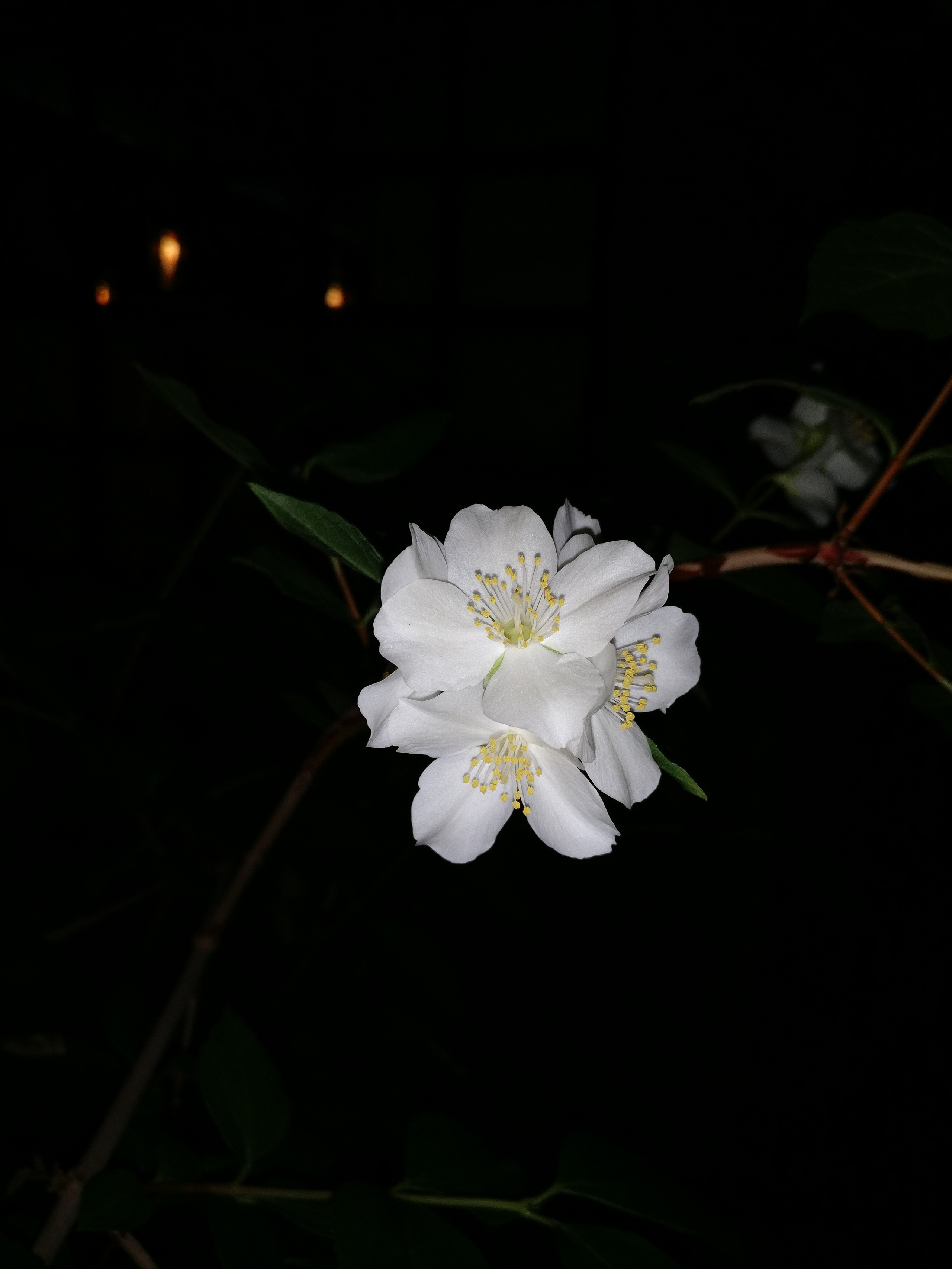 Мобильная фотография. Крым разных лет. Фотохудожник BID