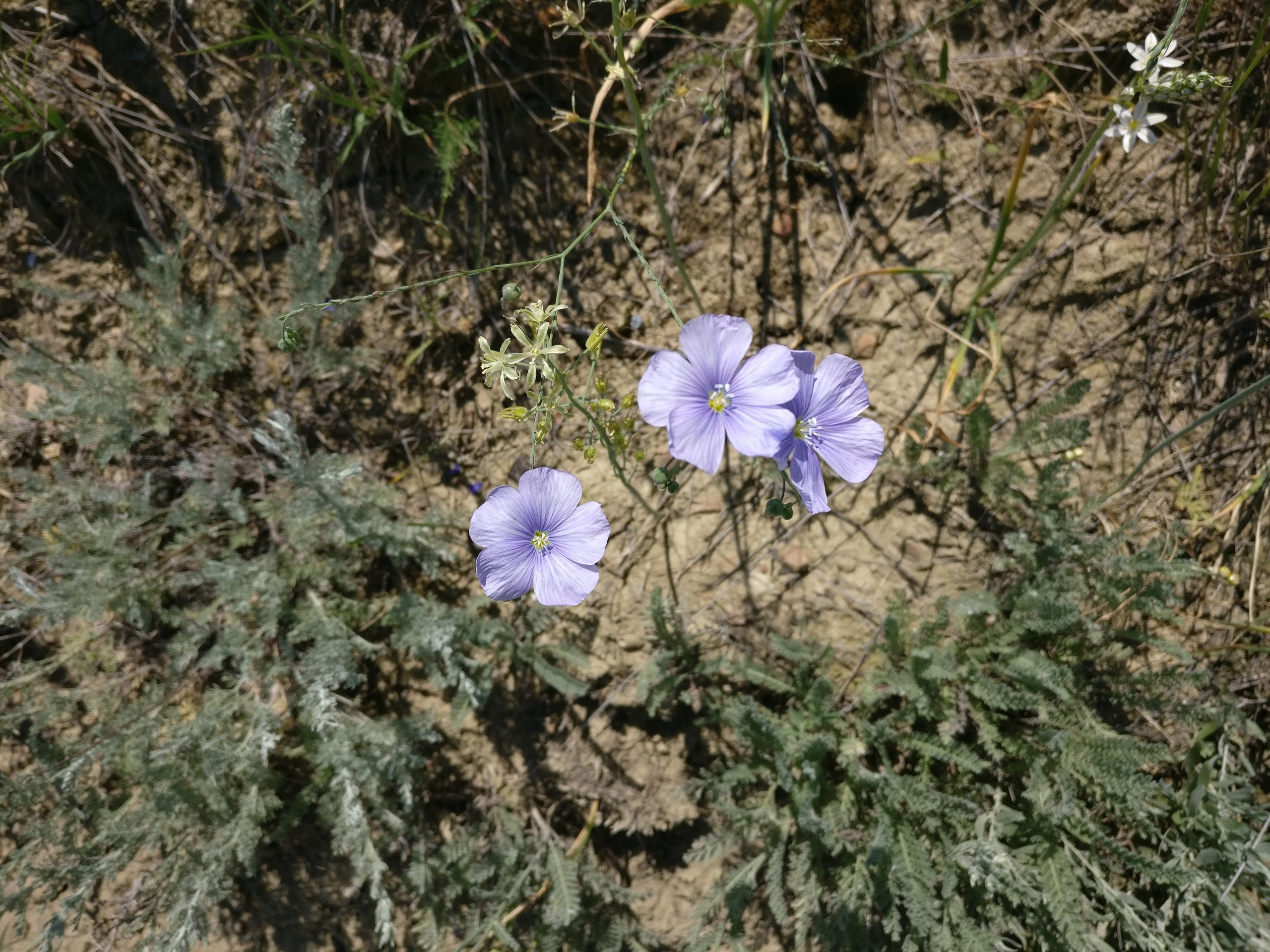 Мобильная фотография. Крым разных лет. Фотохудожник BID