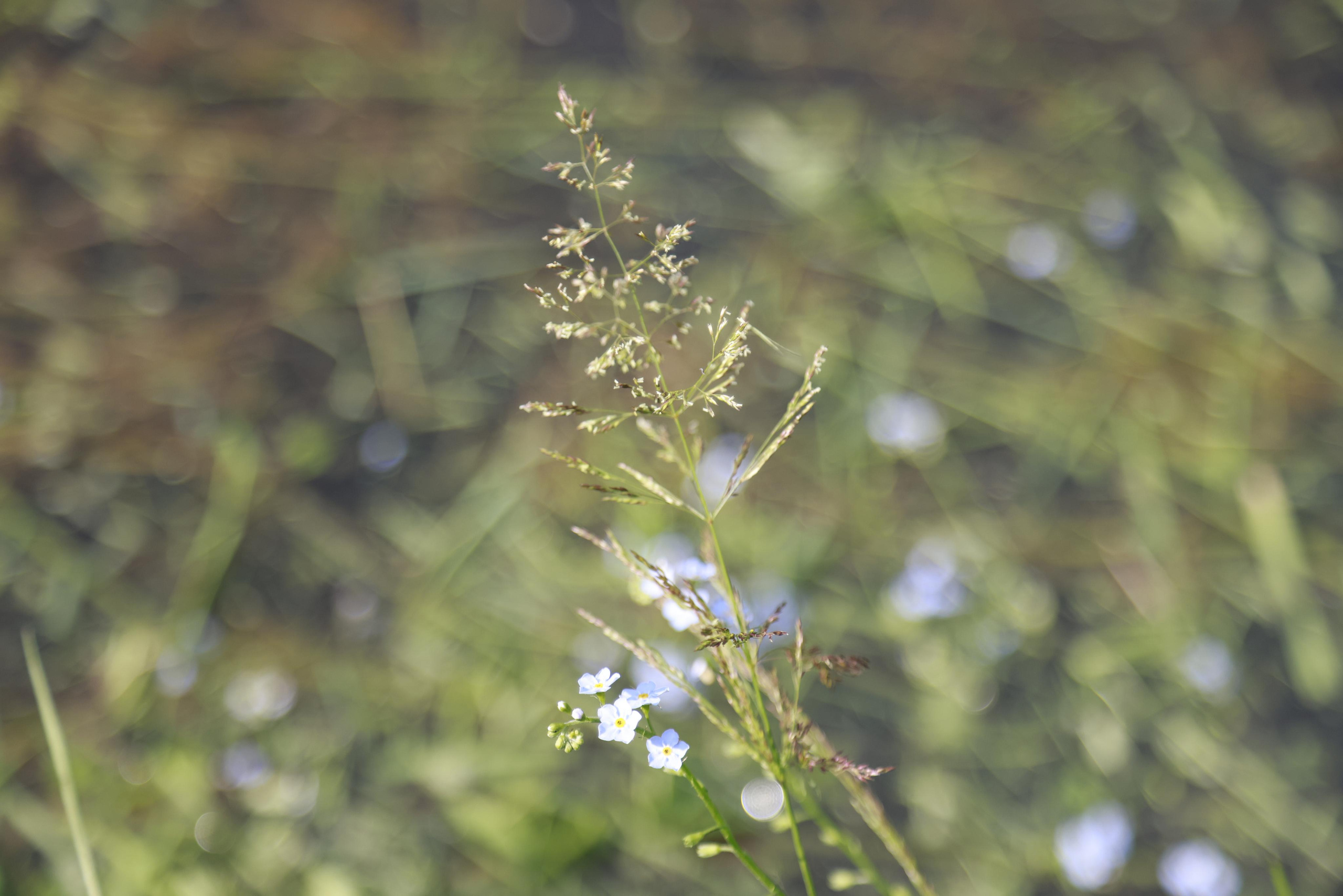 Село Вятское, Ярославской области 2022. Фотохудожник BID