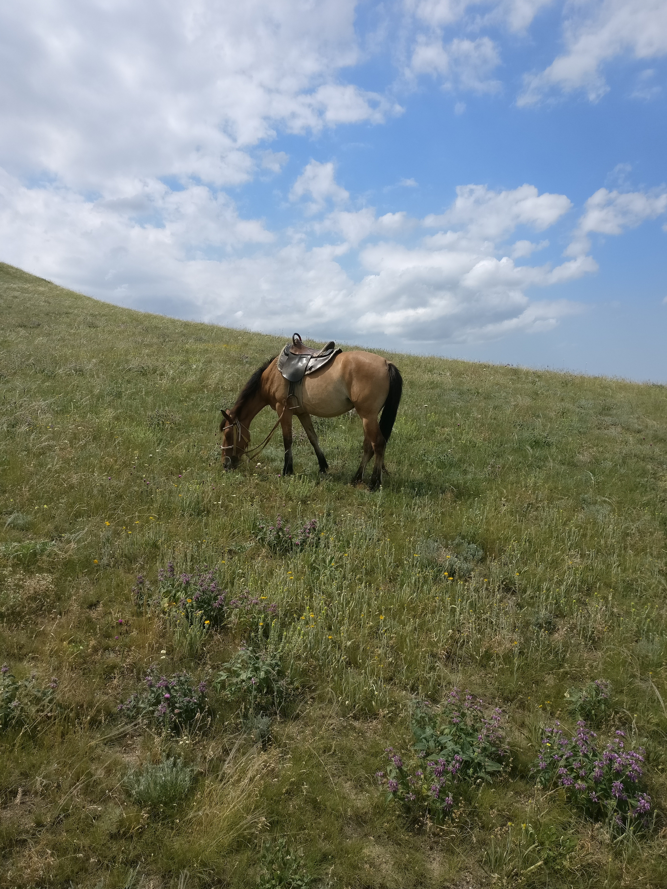 Мобильная фотография. Крым разных лет. Фотохудожник BID