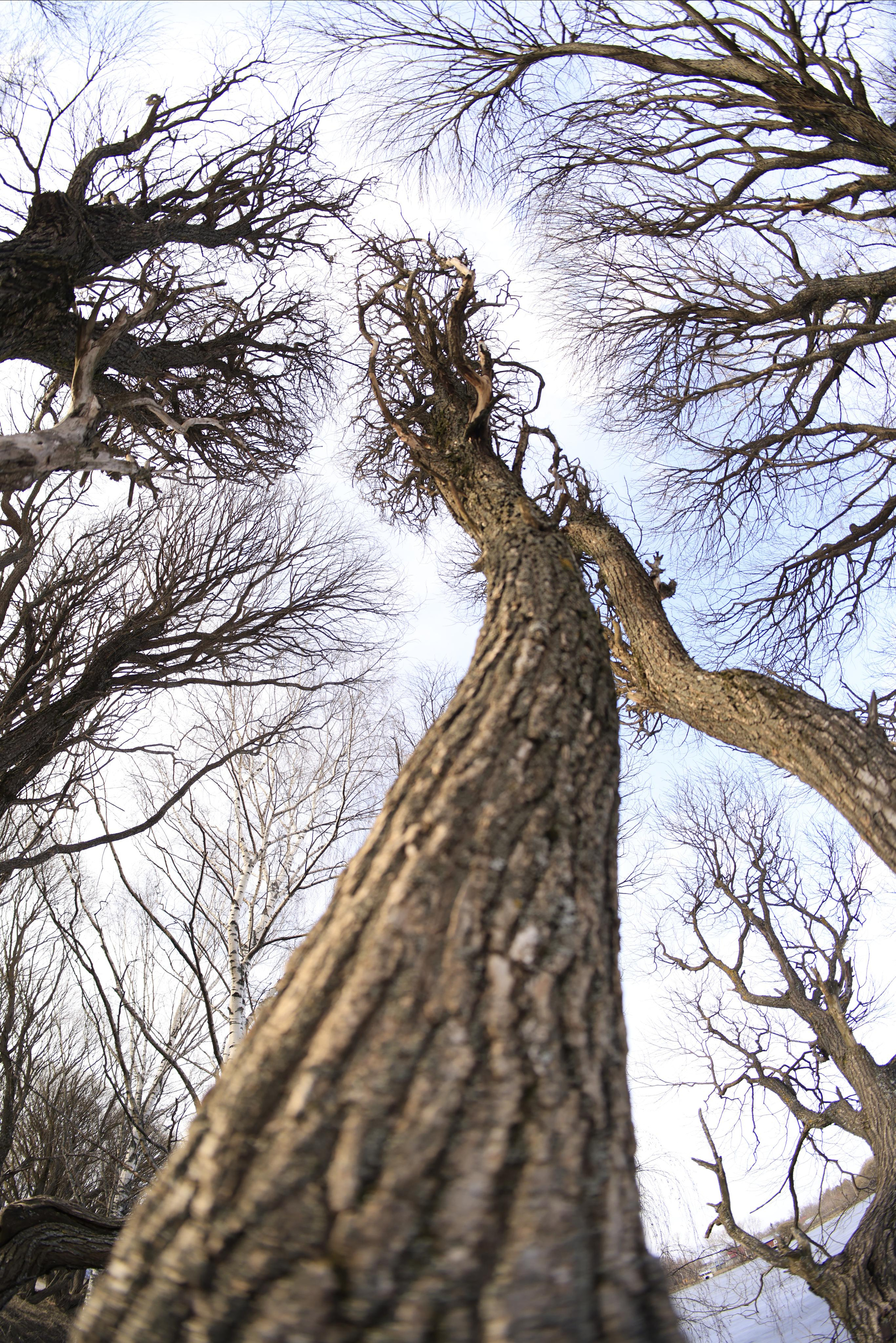 Плес. Весна 2023 г. Фотохудожник BID