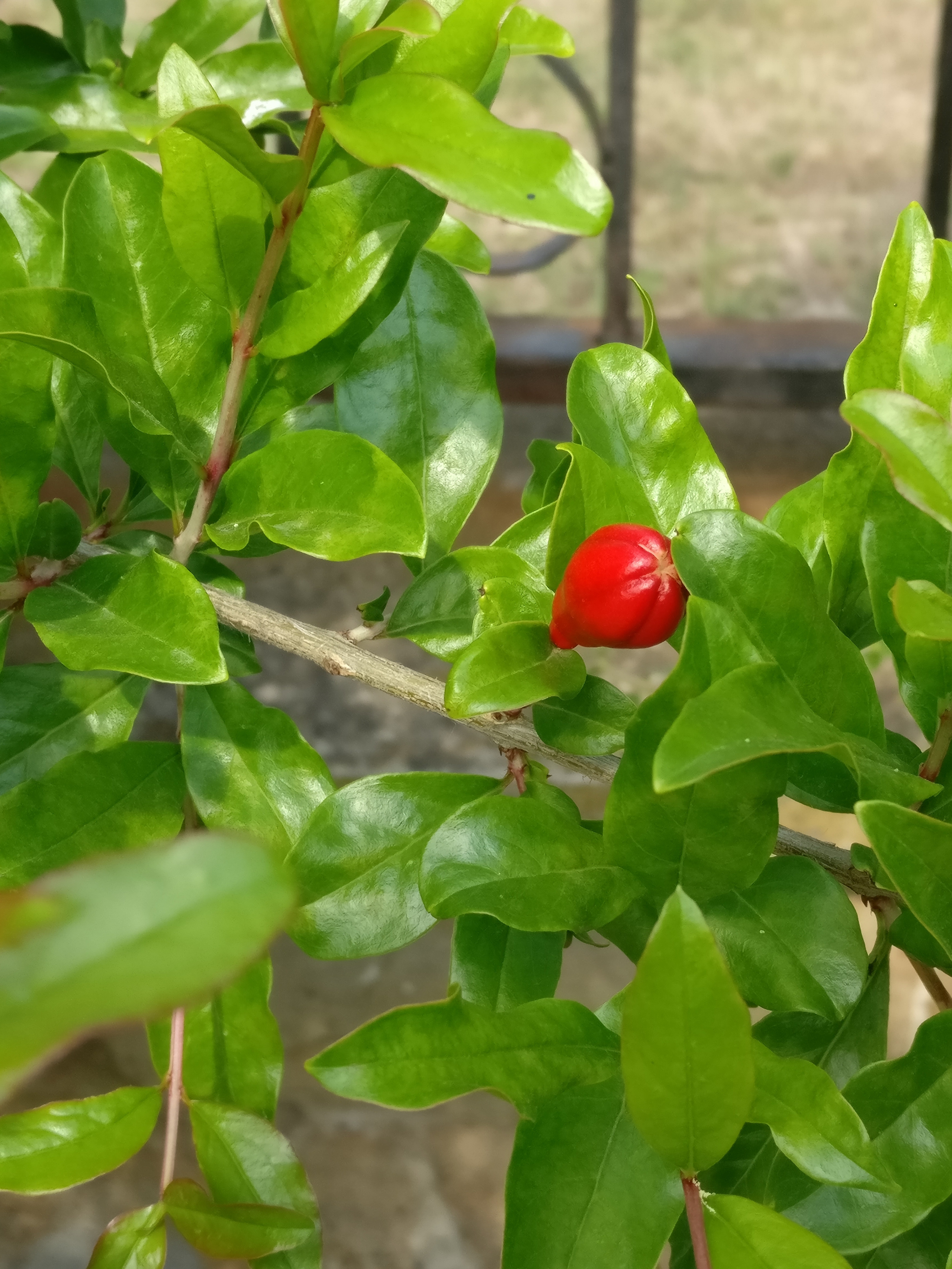 Мобильная фотография. Крым разных лет. Фотохудожник BID