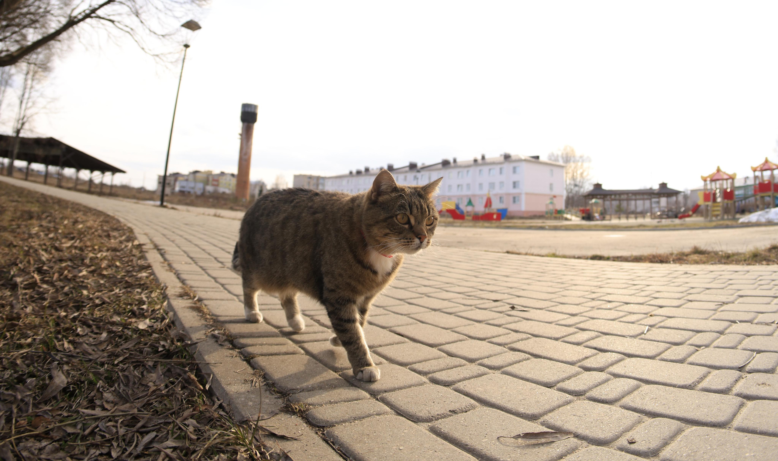 Плес. Весна 2023 г. Фотохудожник BID