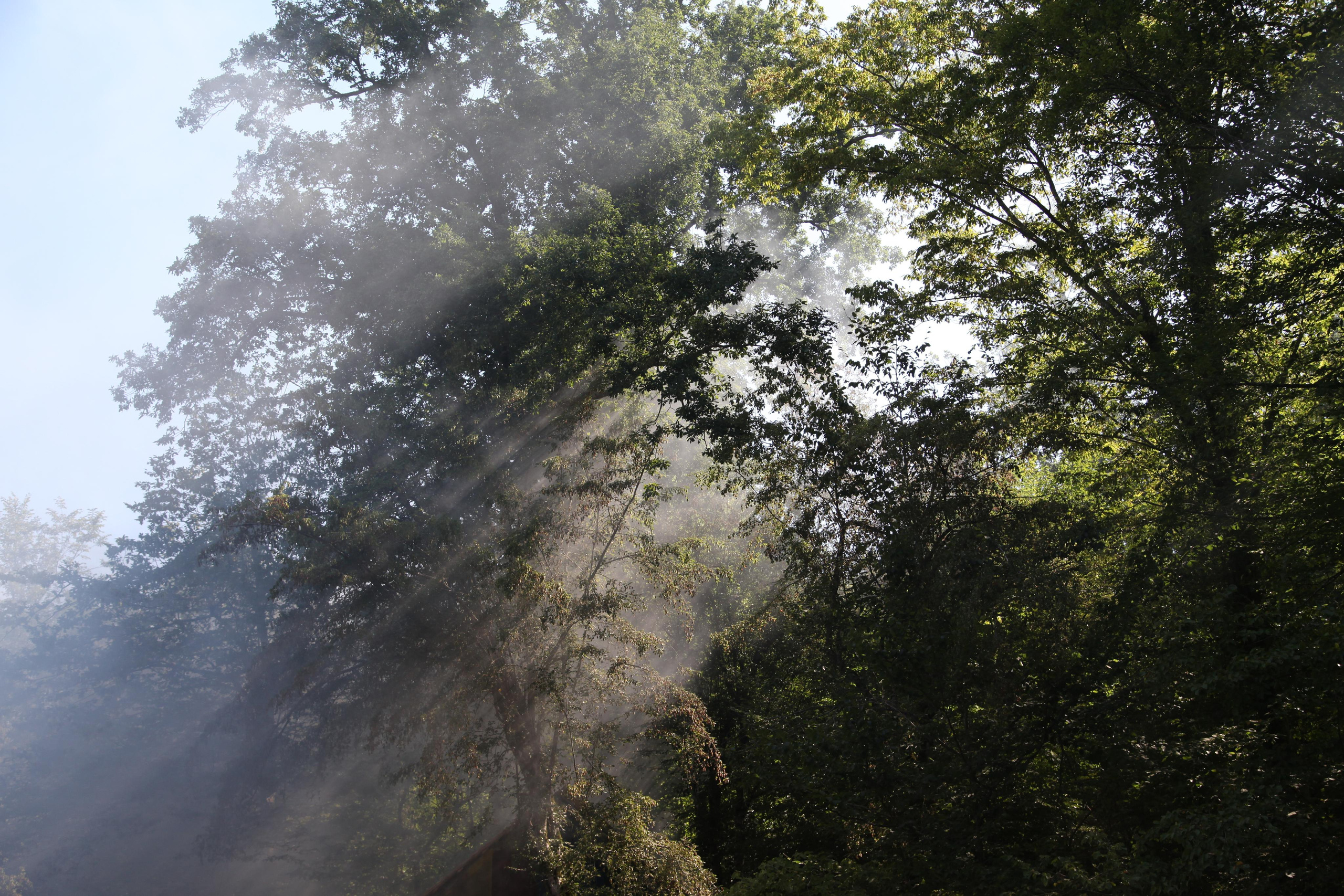 Природа. Фотохудожник BID