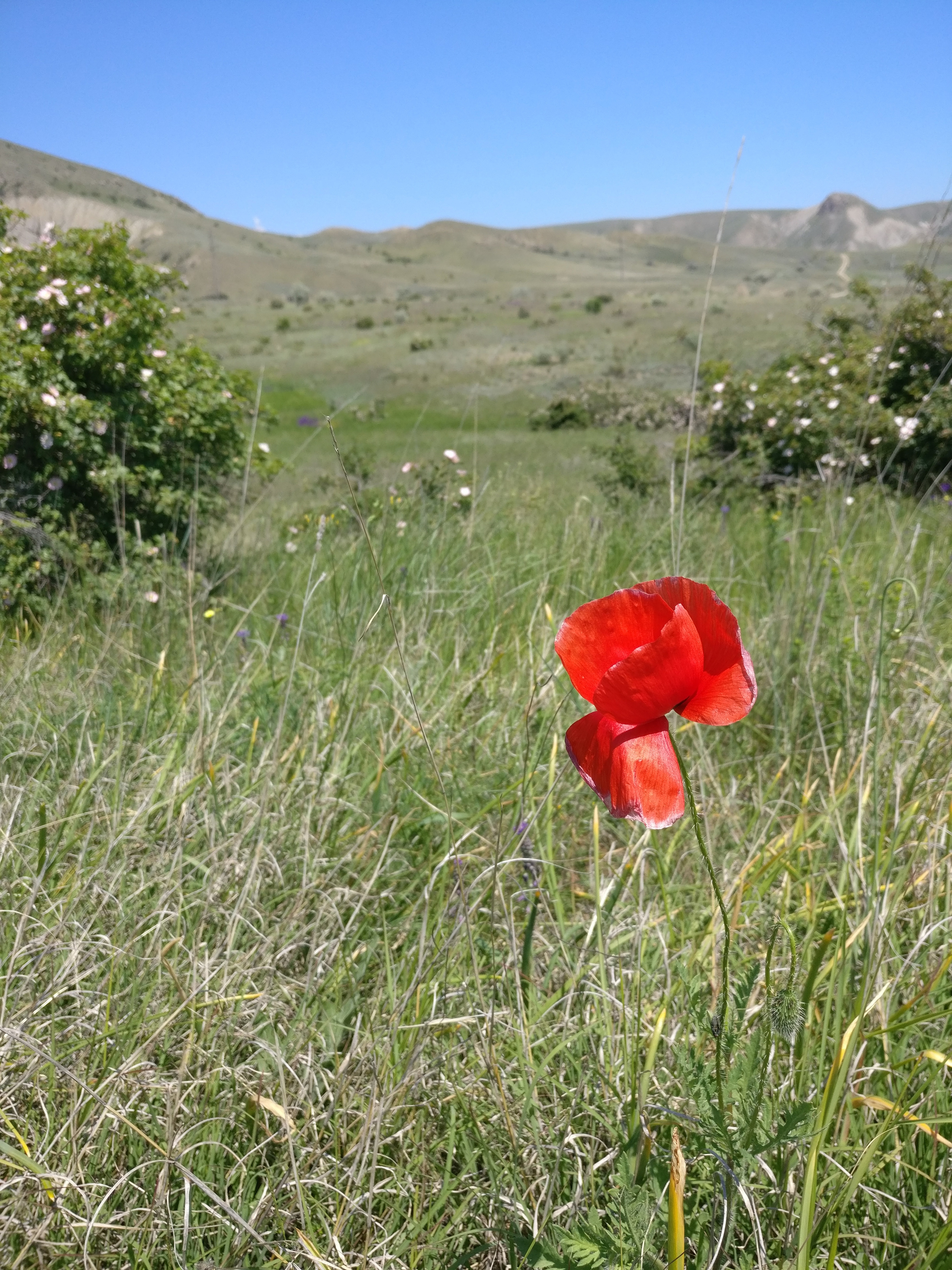 Мобильная фотография. Крым разных лет. Фотохудожник BID
