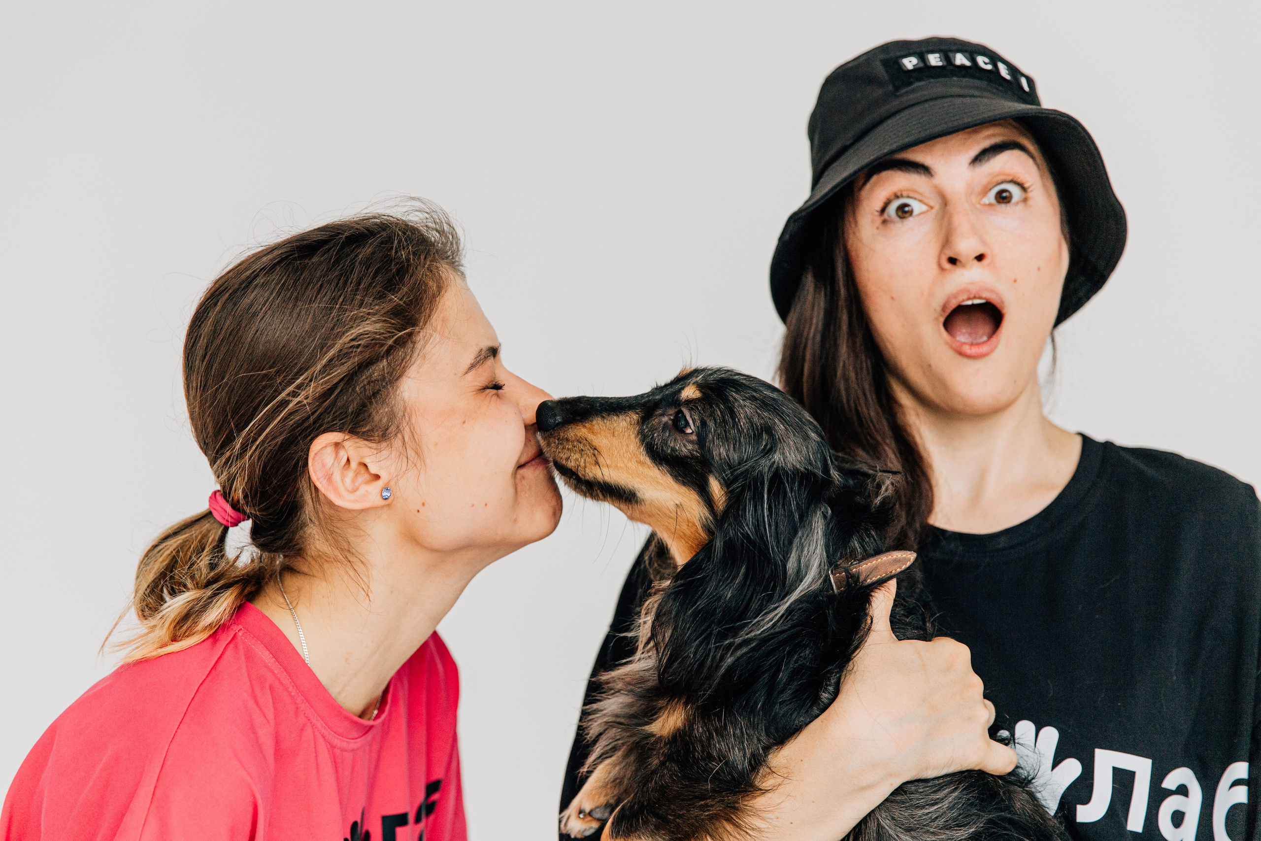 Лаборатория Канистерапии. Фотограф-анималист в Москве Соломонова Варвара