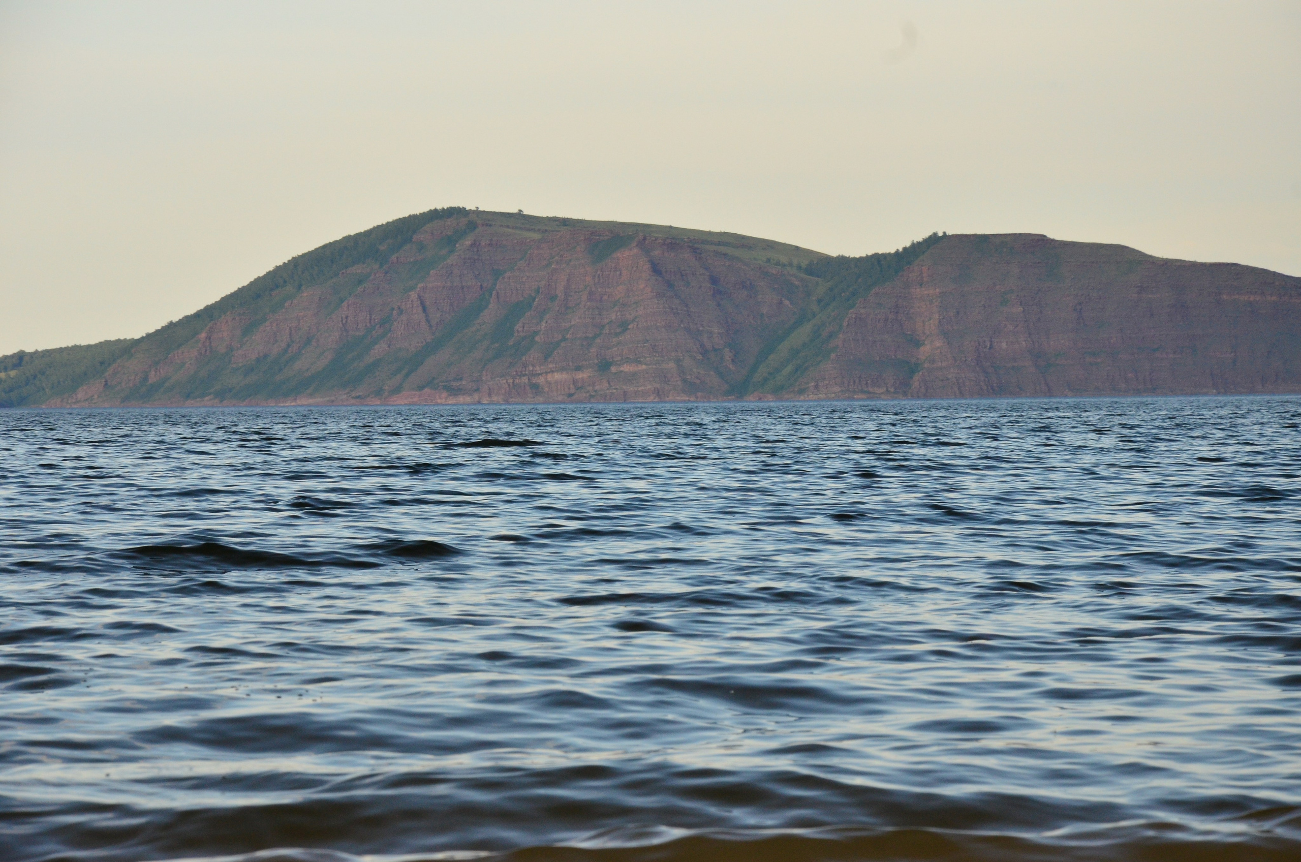 Дары природы. Фотограф viktor viktor