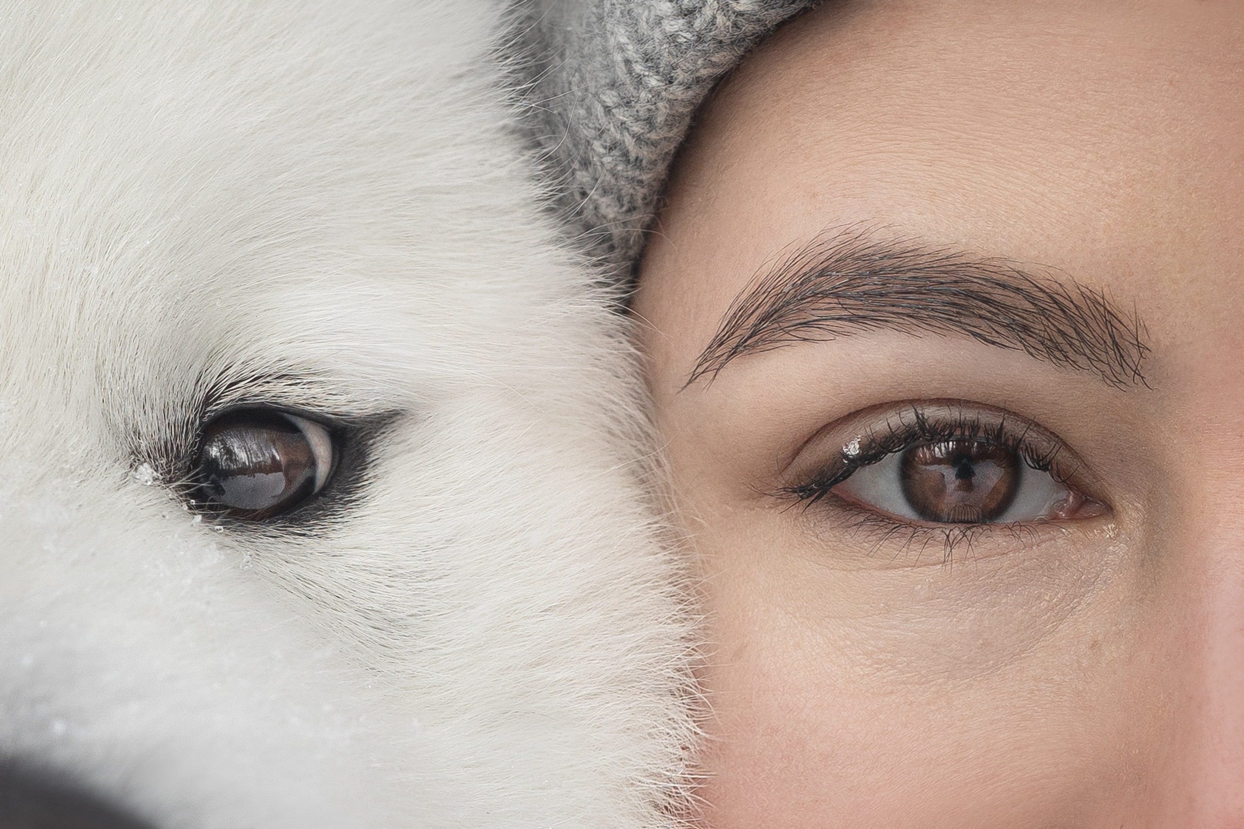 Дмитрий, Наталья и Панти. Фотограф анималист в Москве Майорова Евгения