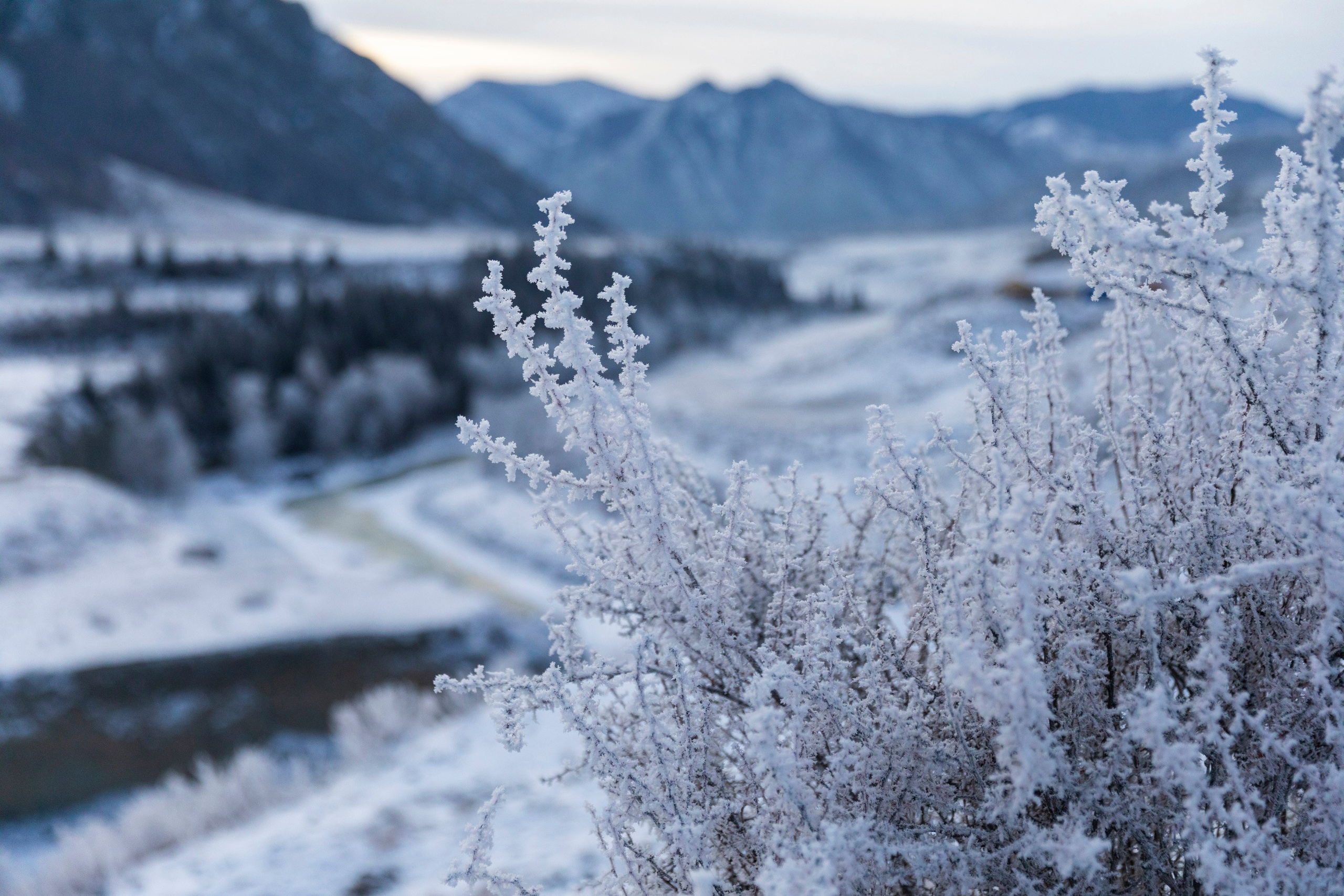 Алтай в декабре. Марина Захарова — Фотограф. Москва / Marina Zakharova — Photographer