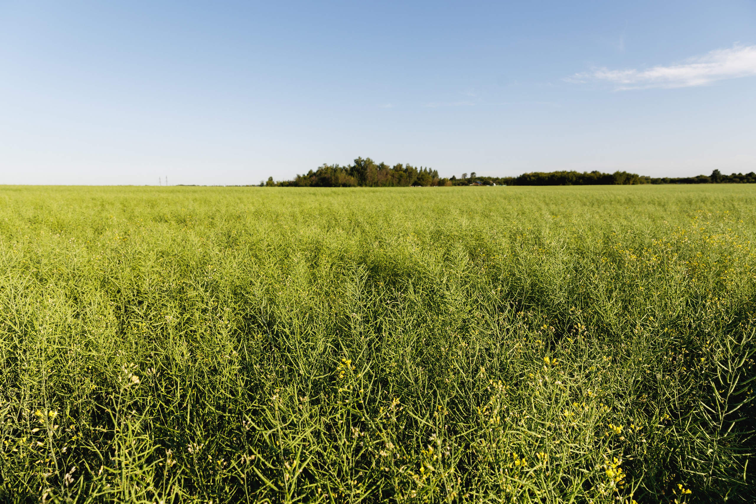 BASF. Конференция 2024. Фотограф Липецк. Фотограф в Липецке Татьяна Минаева. Портретный фотограф Липецк. Свадебный фотограф Липецк. Бизнес фотограф Липецк