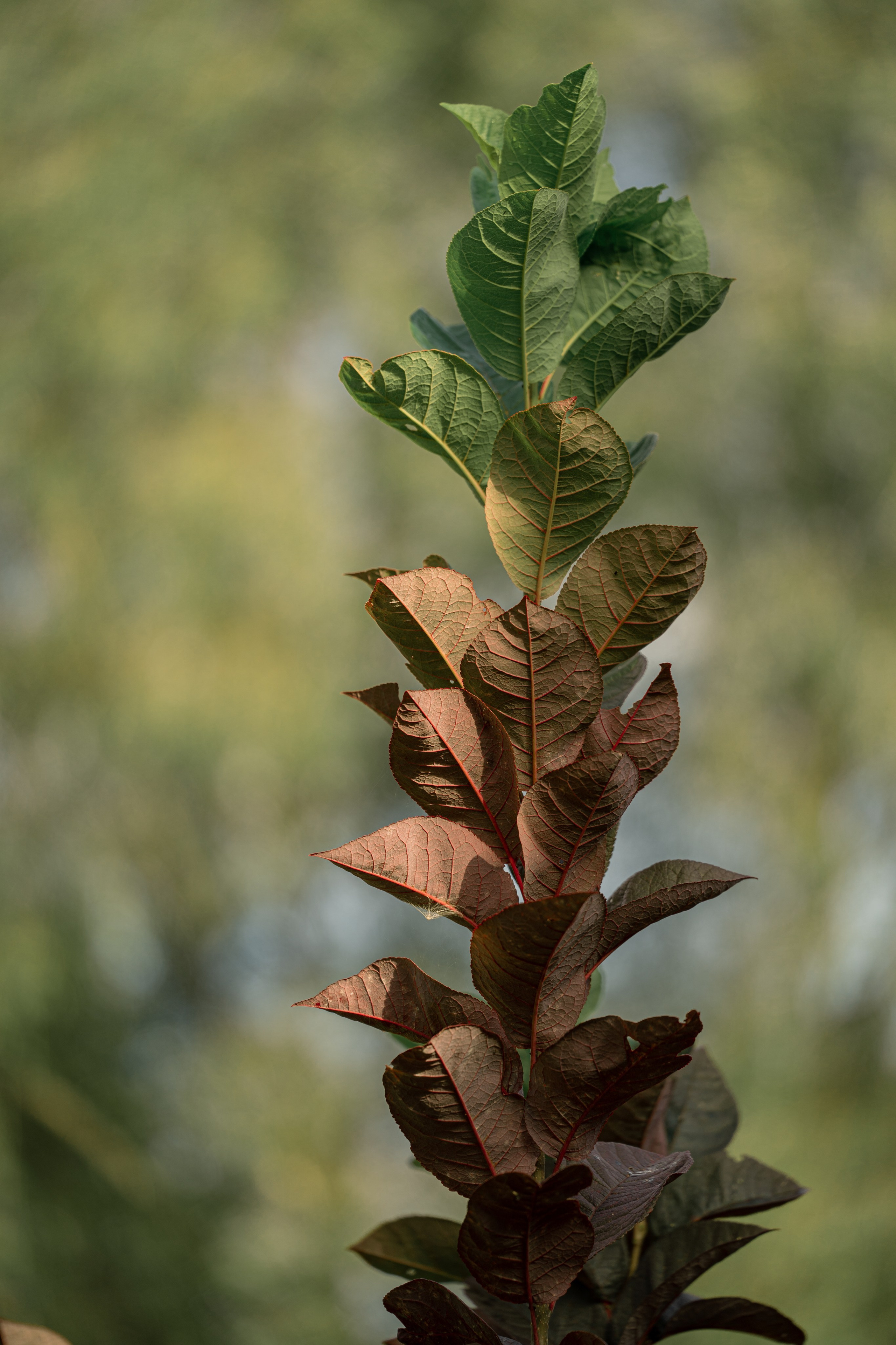 ATMOSPHERE. Фотограф Юрина Ксения Москва