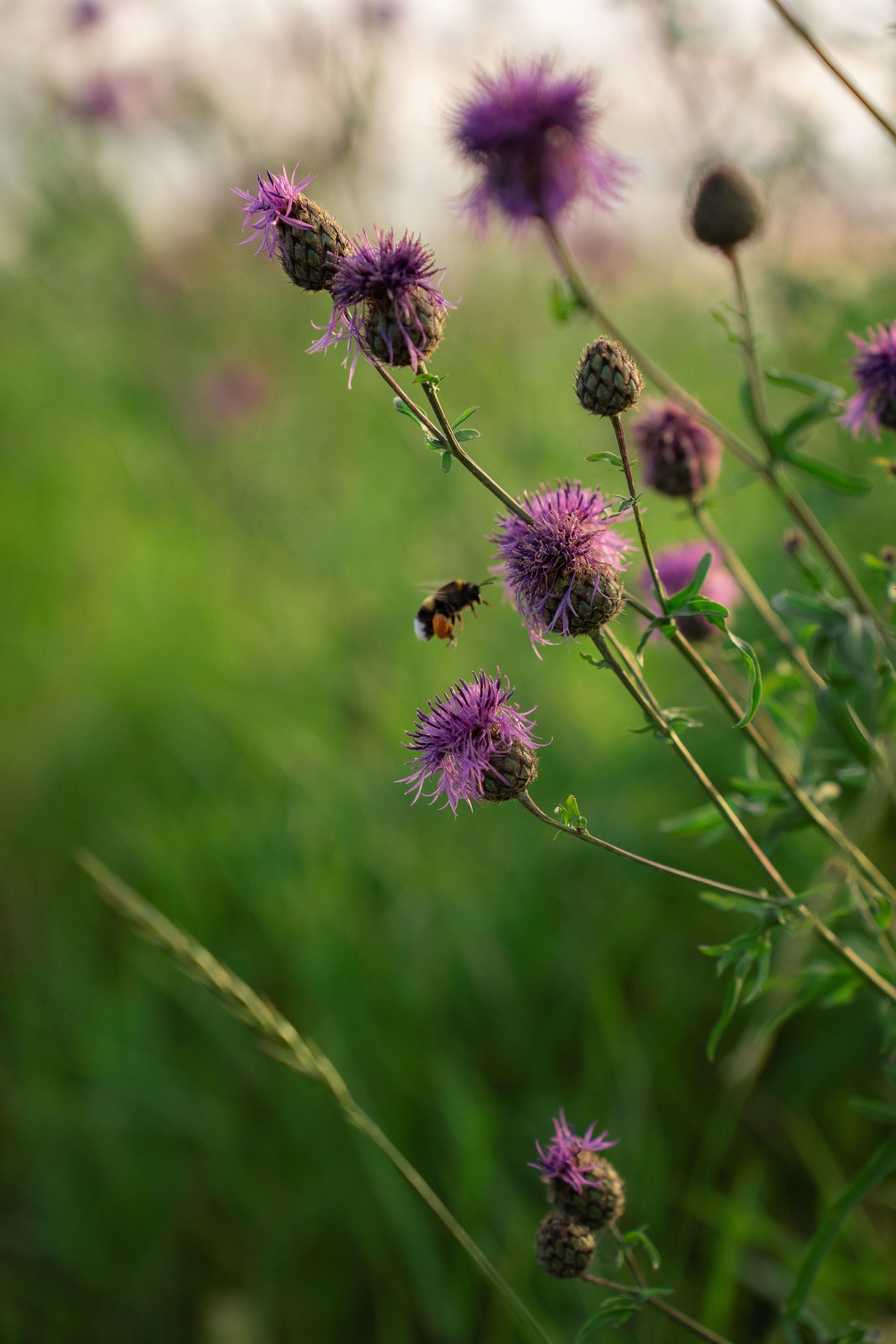 ATMOSPHERE. Фотограф Юрина Ксения Москва