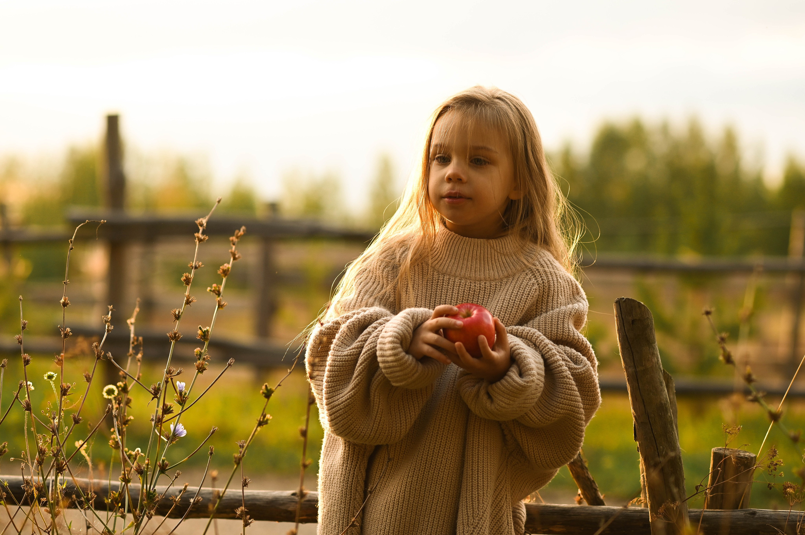 София. Фотограф Казань
