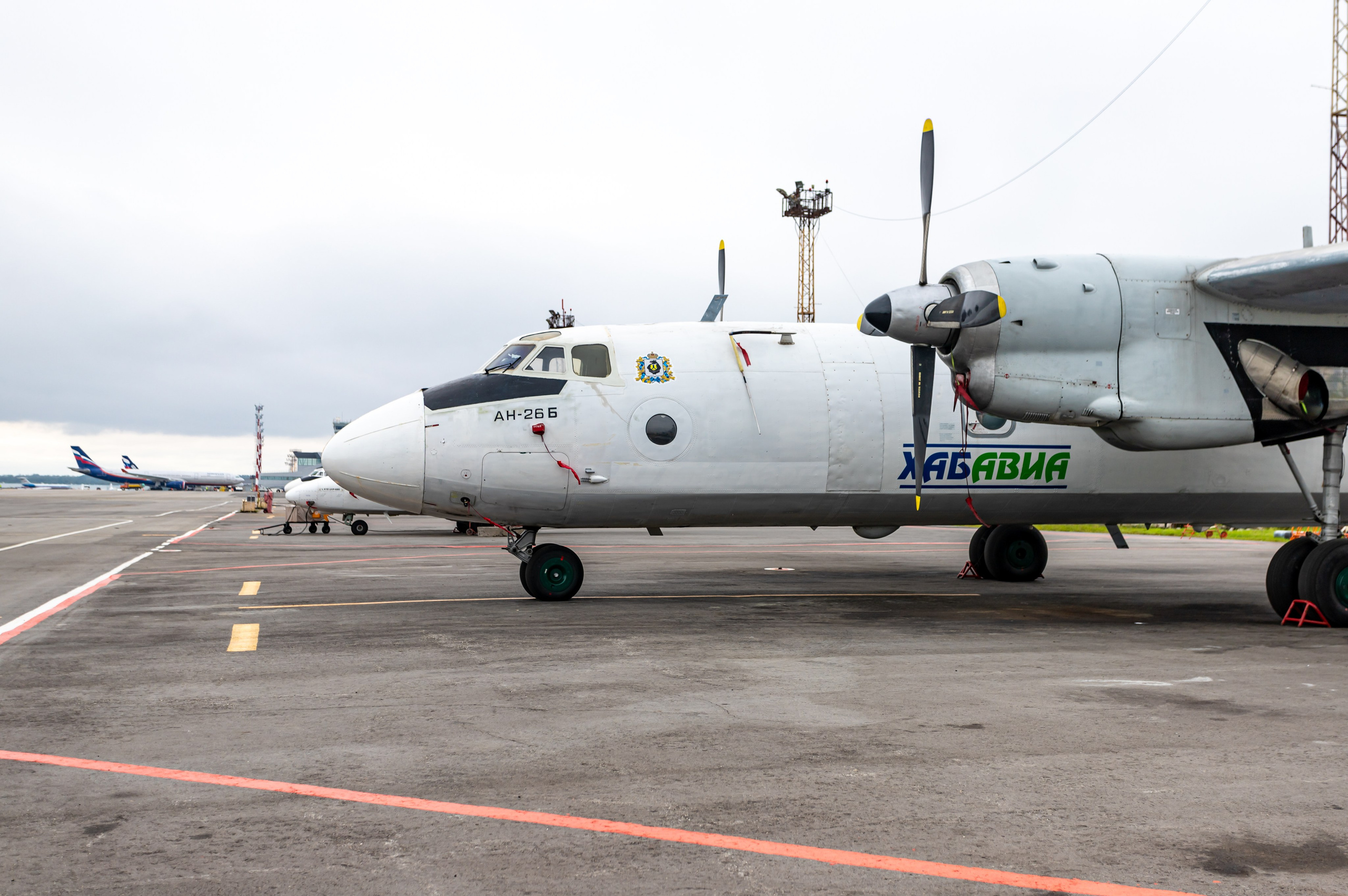 Споттинг 2024. Семейный и детский фотограф в Хабаровске Алевтина Проскурякова