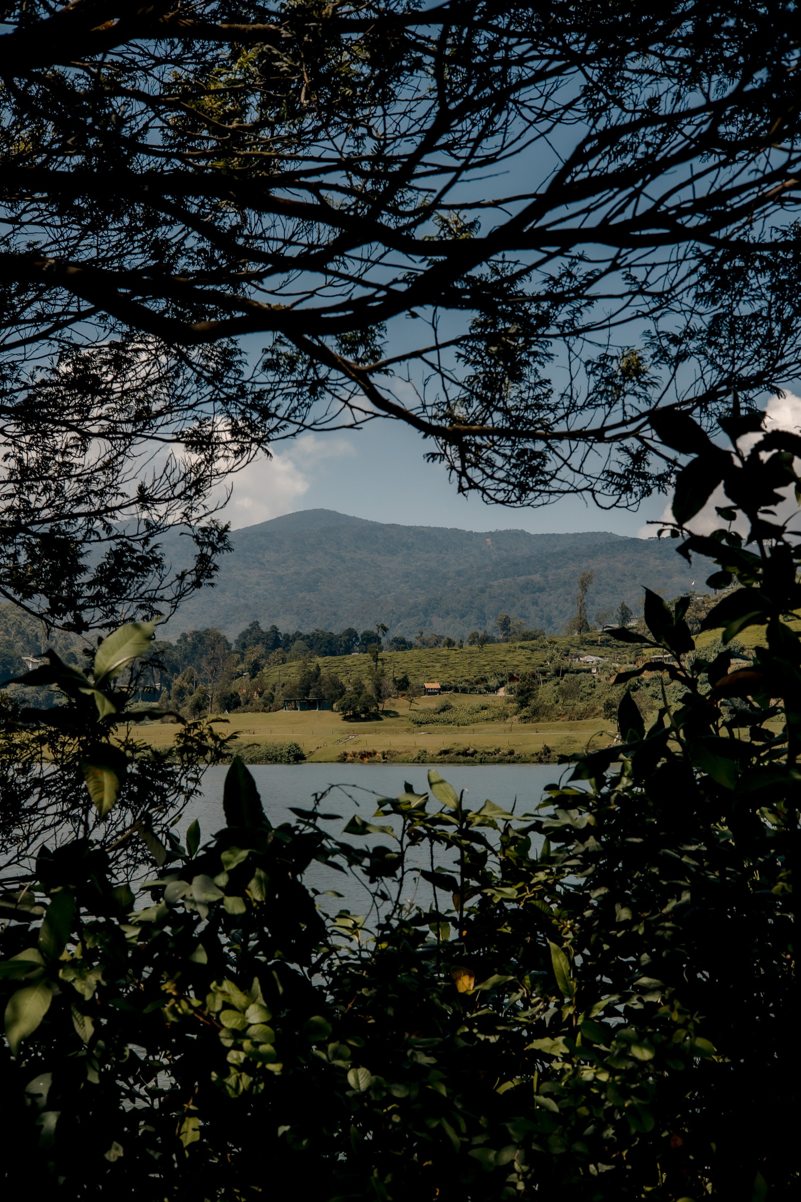 Sri Lanka, Nuwara Elia 2026. Art Photographer