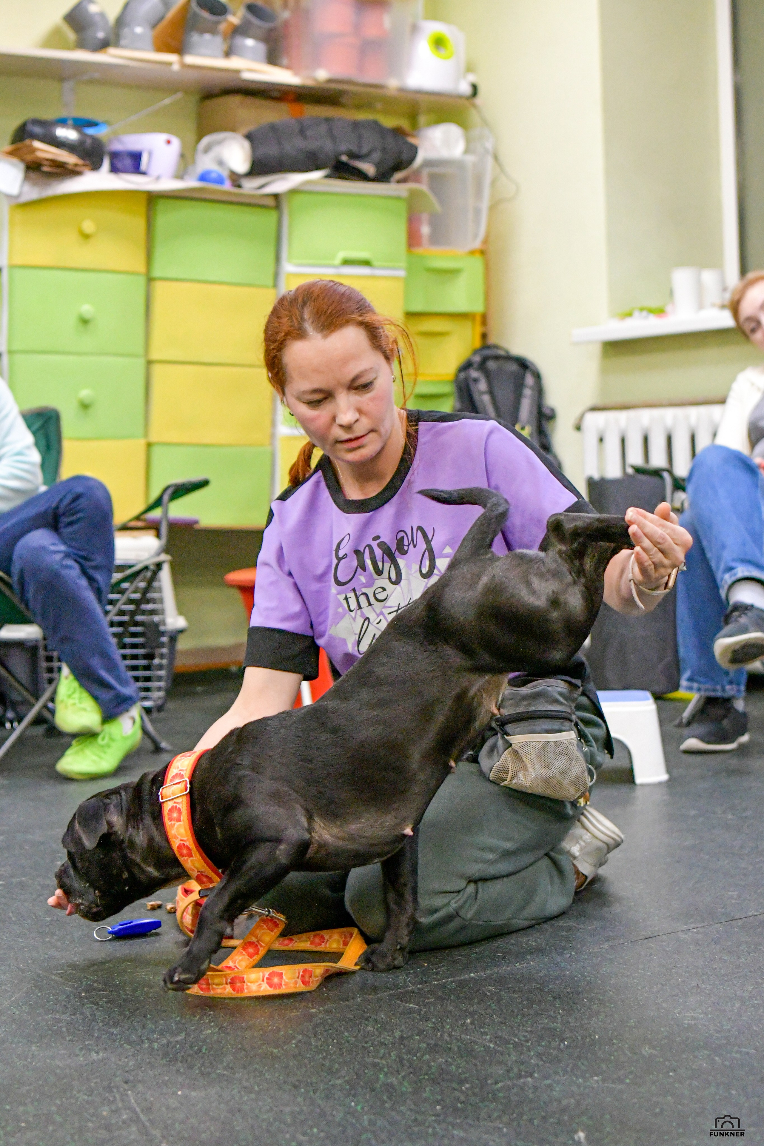 Кинологический клуб «Бодрый хвост». Свой взгляд через объектив