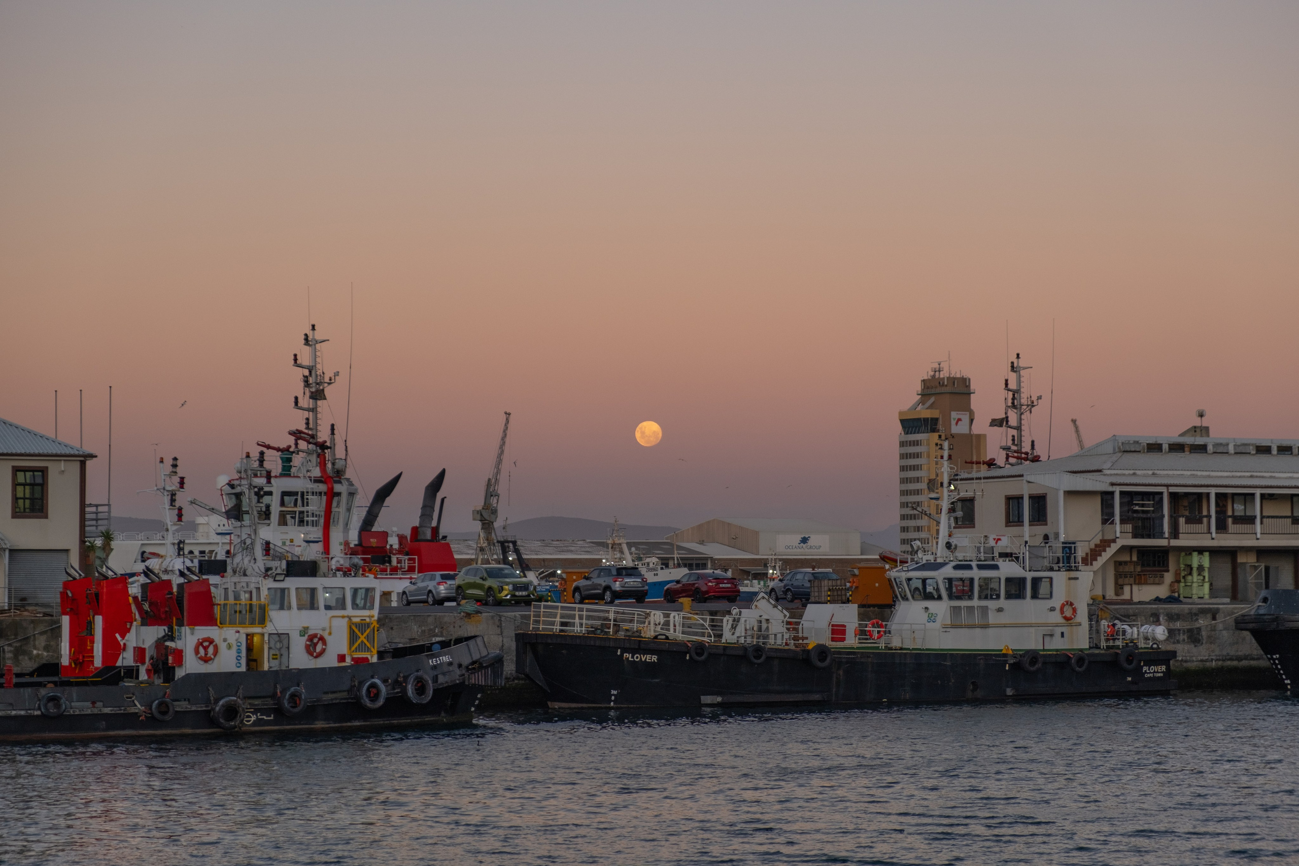 Морские котики и закат. Фотографии из путешествий