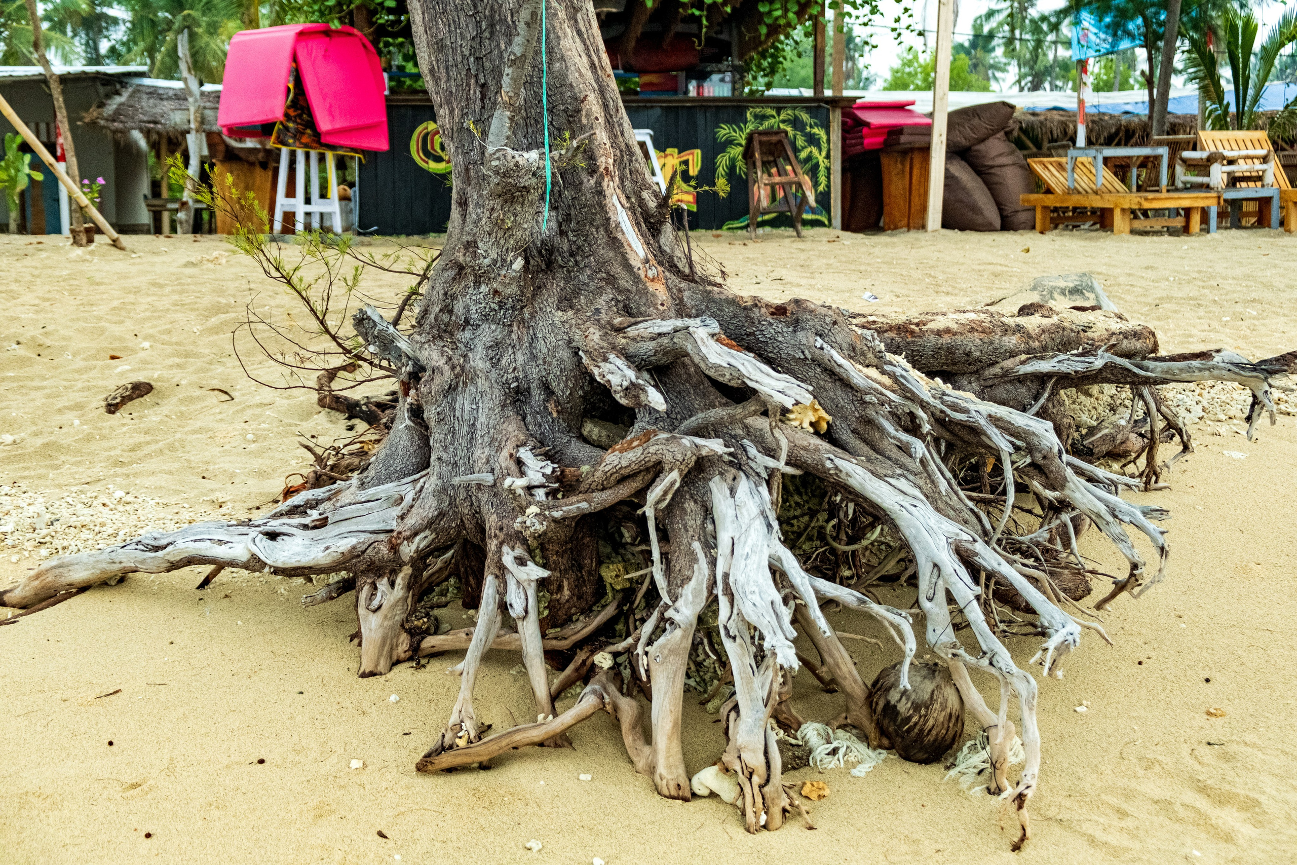 Остров Гили Эйр. Фотографии из путешествий