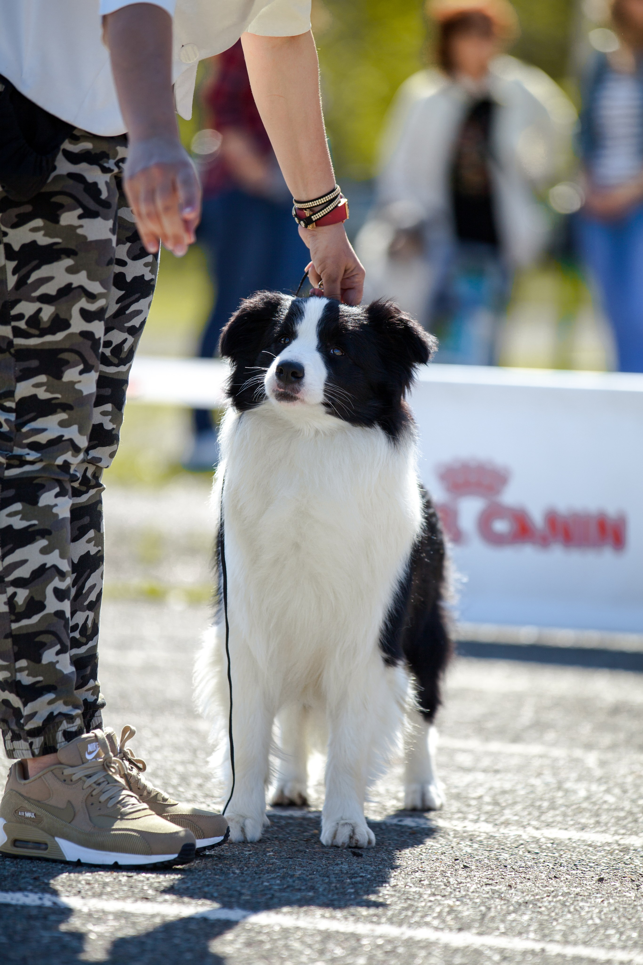 Зеленое в Оренбурге 19. О нас