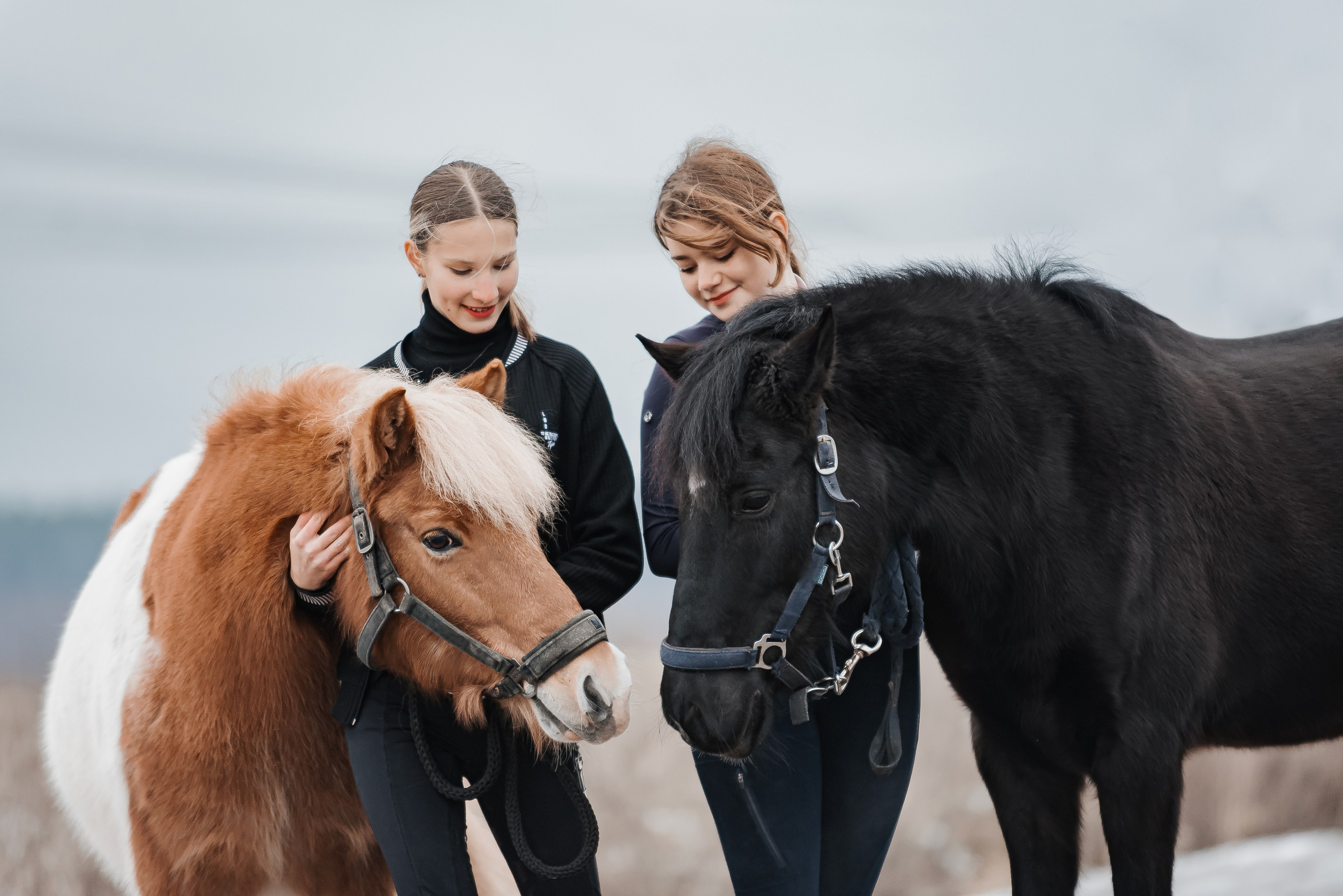 Equiestrian NES. Куракина Дарья • Конный фотограф