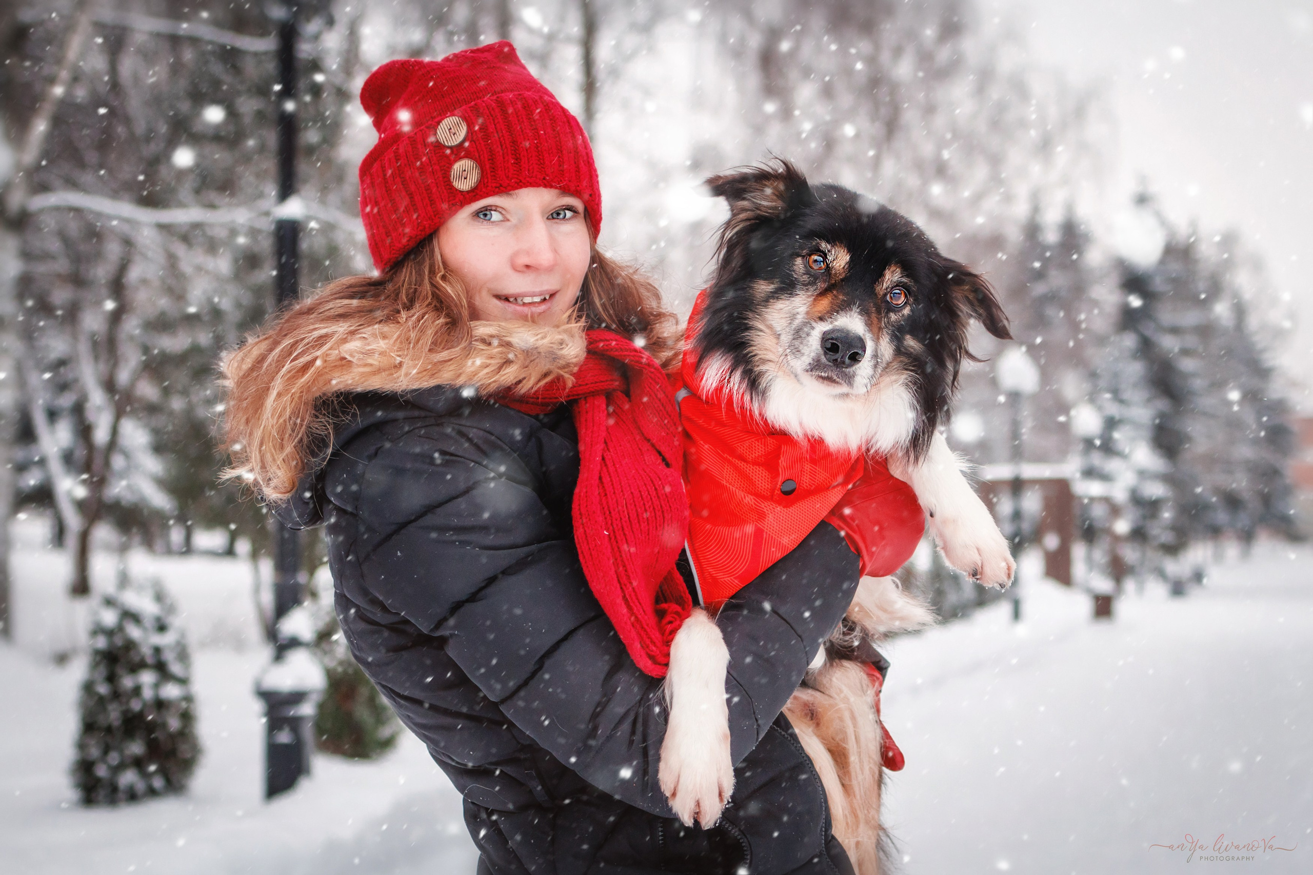 Рокки. Фотограф анималист Аня Ливанова | Рыбинск