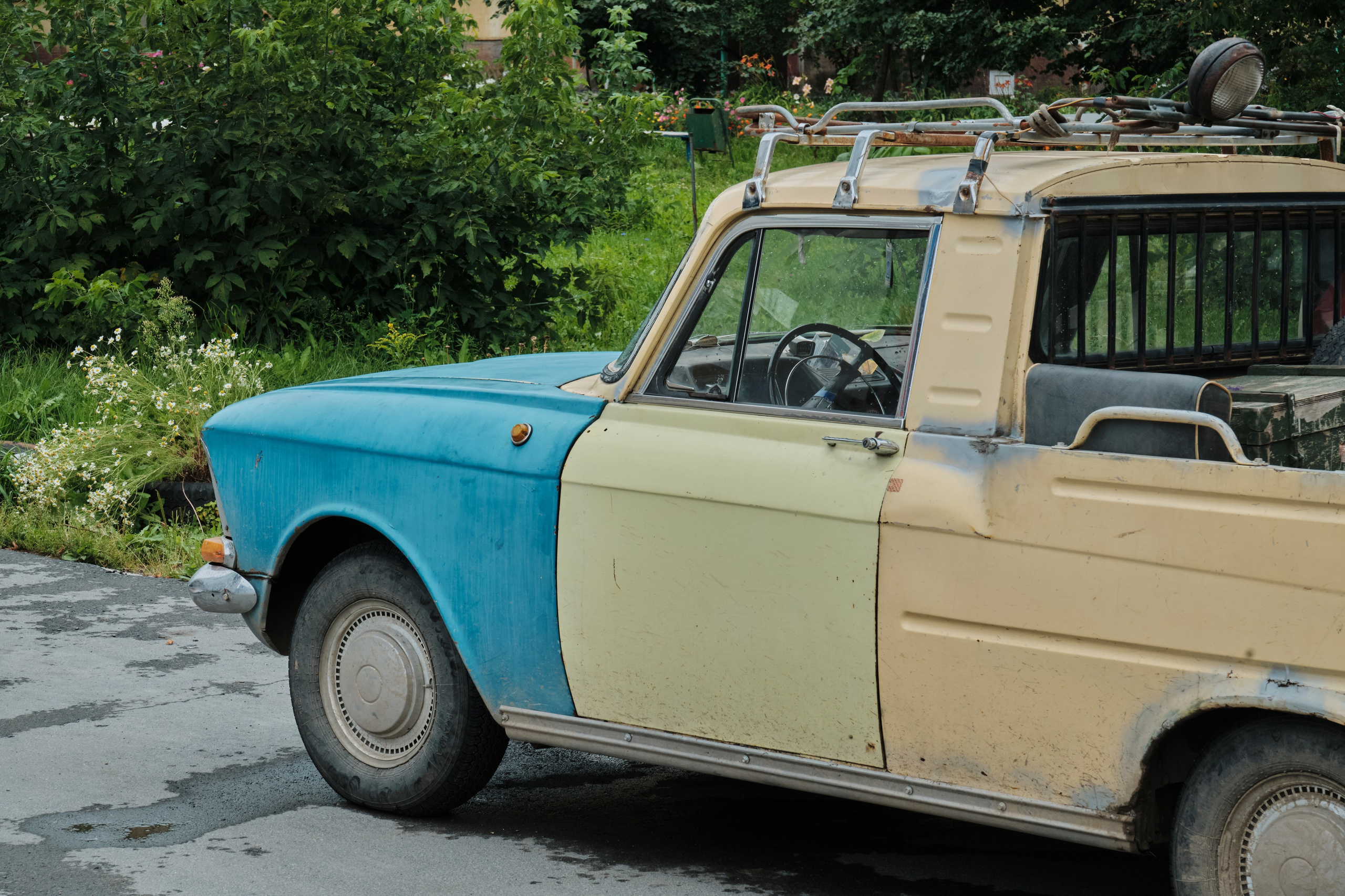 Академ-городок и ботанический сад. Goncharov Tim