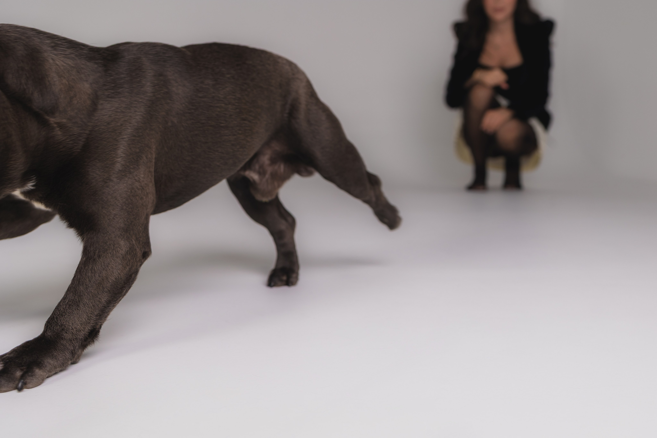 Кристина и Счастье