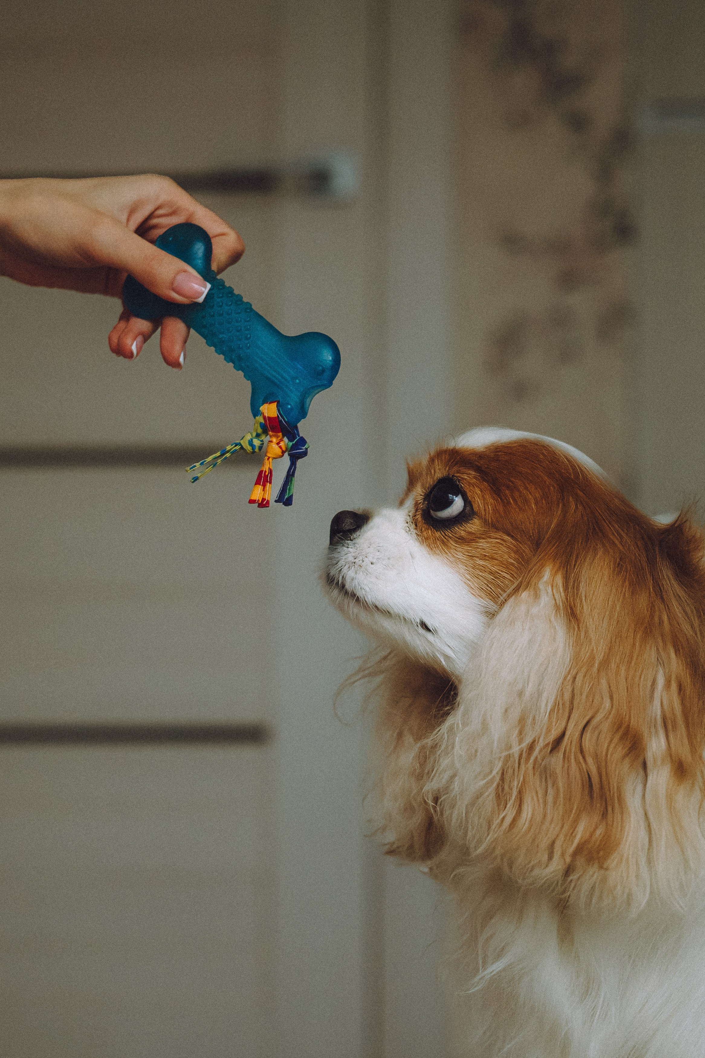 Наташа и Вики