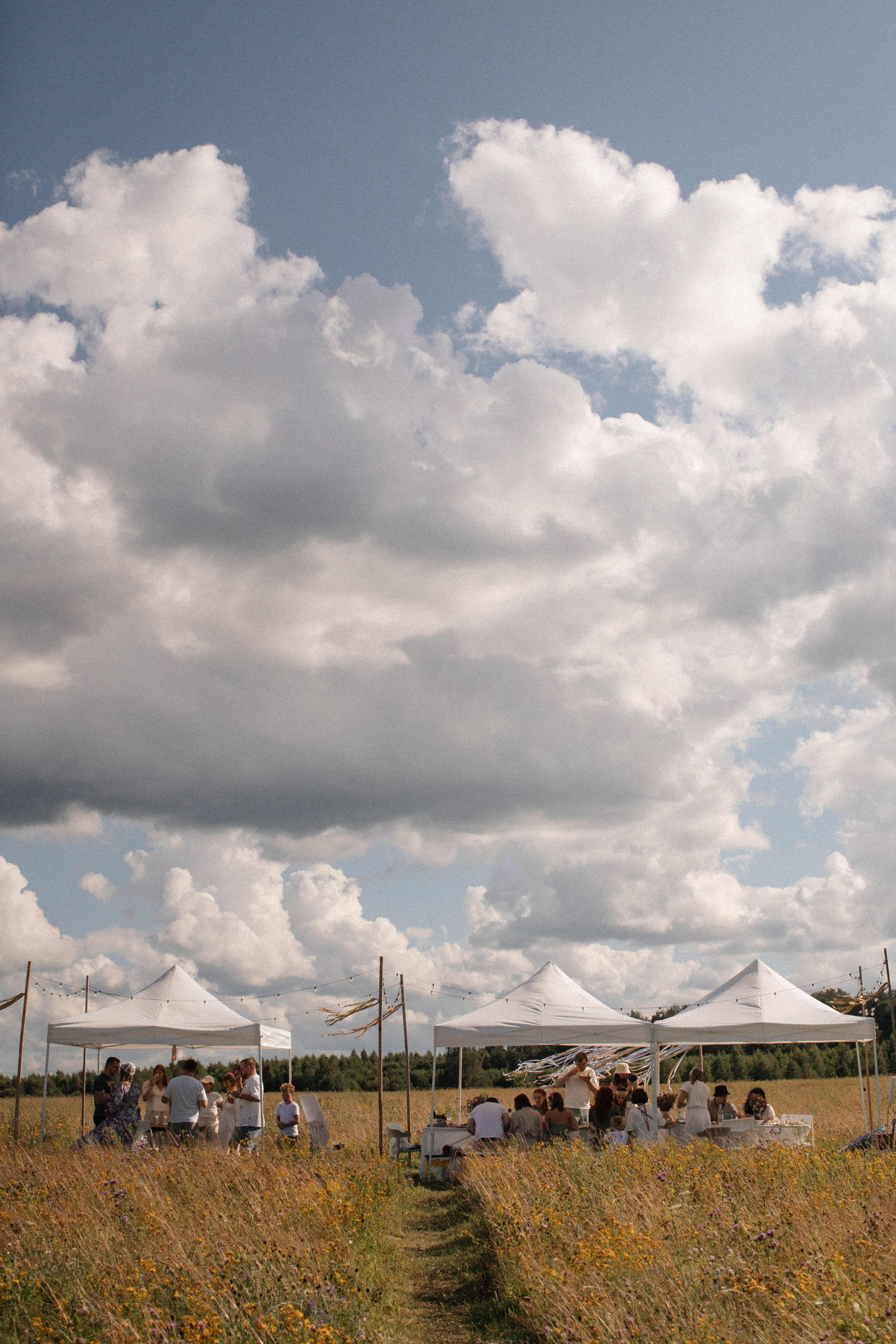 Мероприятия. Честный семейный фотограф