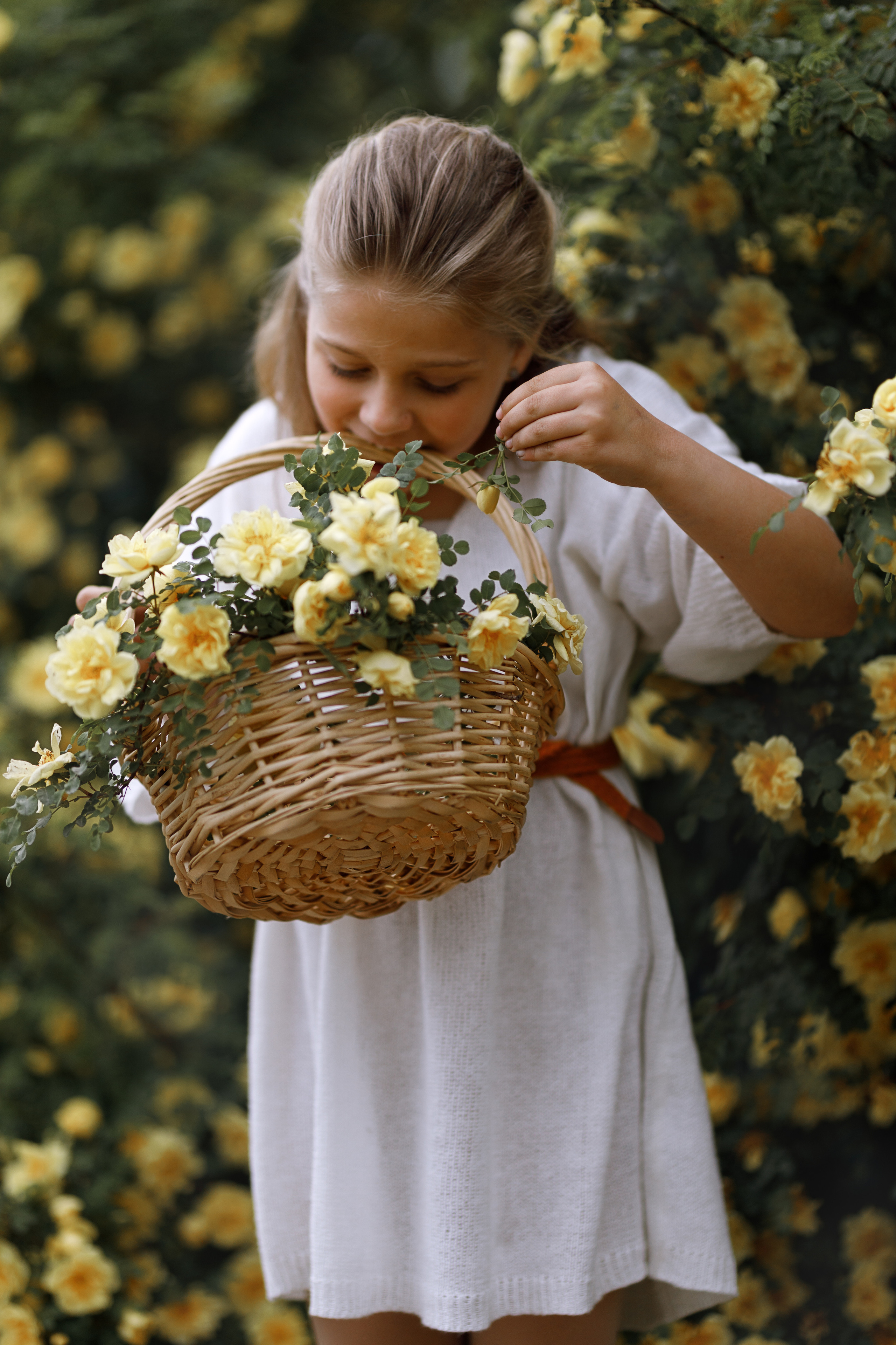 Вероника в розах. Фотограф женского портрета, беременности и материнства Харькова Елена