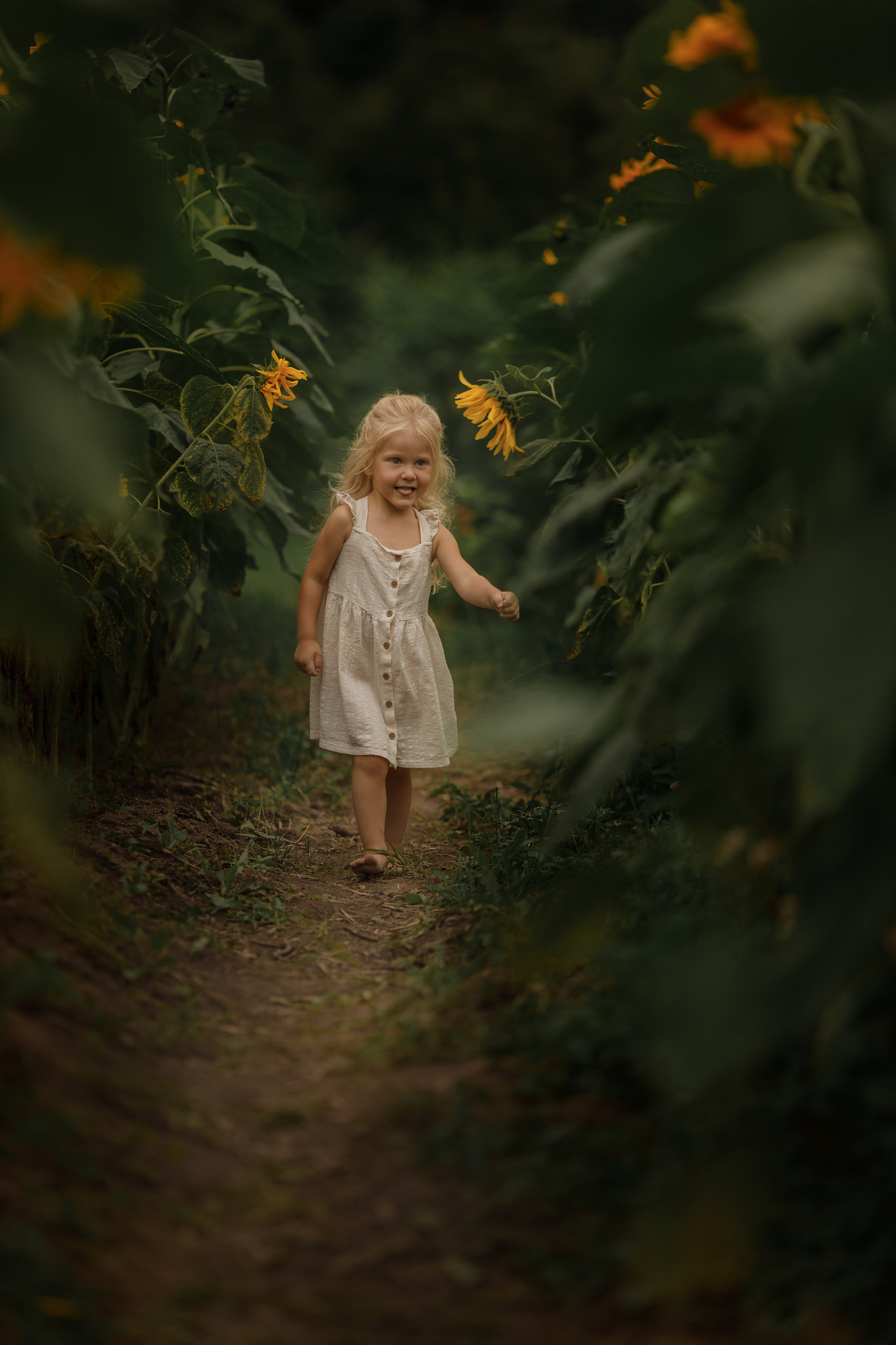 Съемка в подсолнухах. Фотограф женского портрета, беременности и материнства Харькова Елена