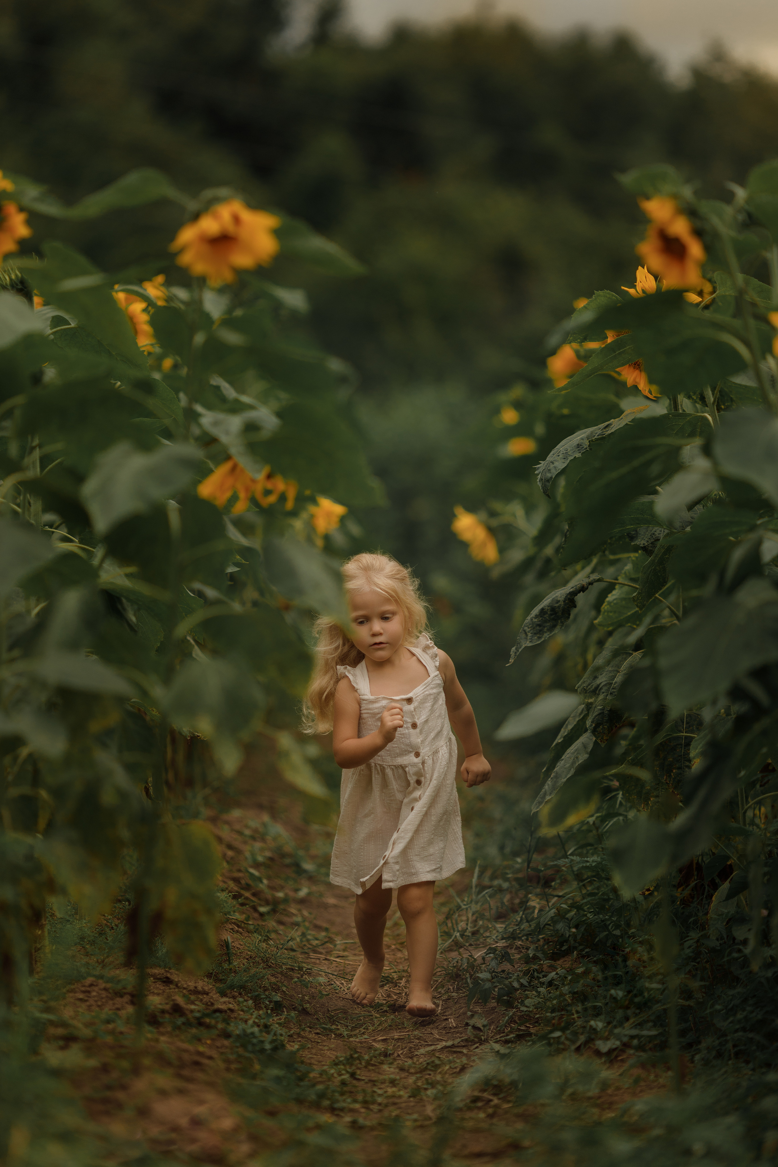 Съемка в подсолнухах. Фотограф женского портрета, беременности и материнства Харькова Елена