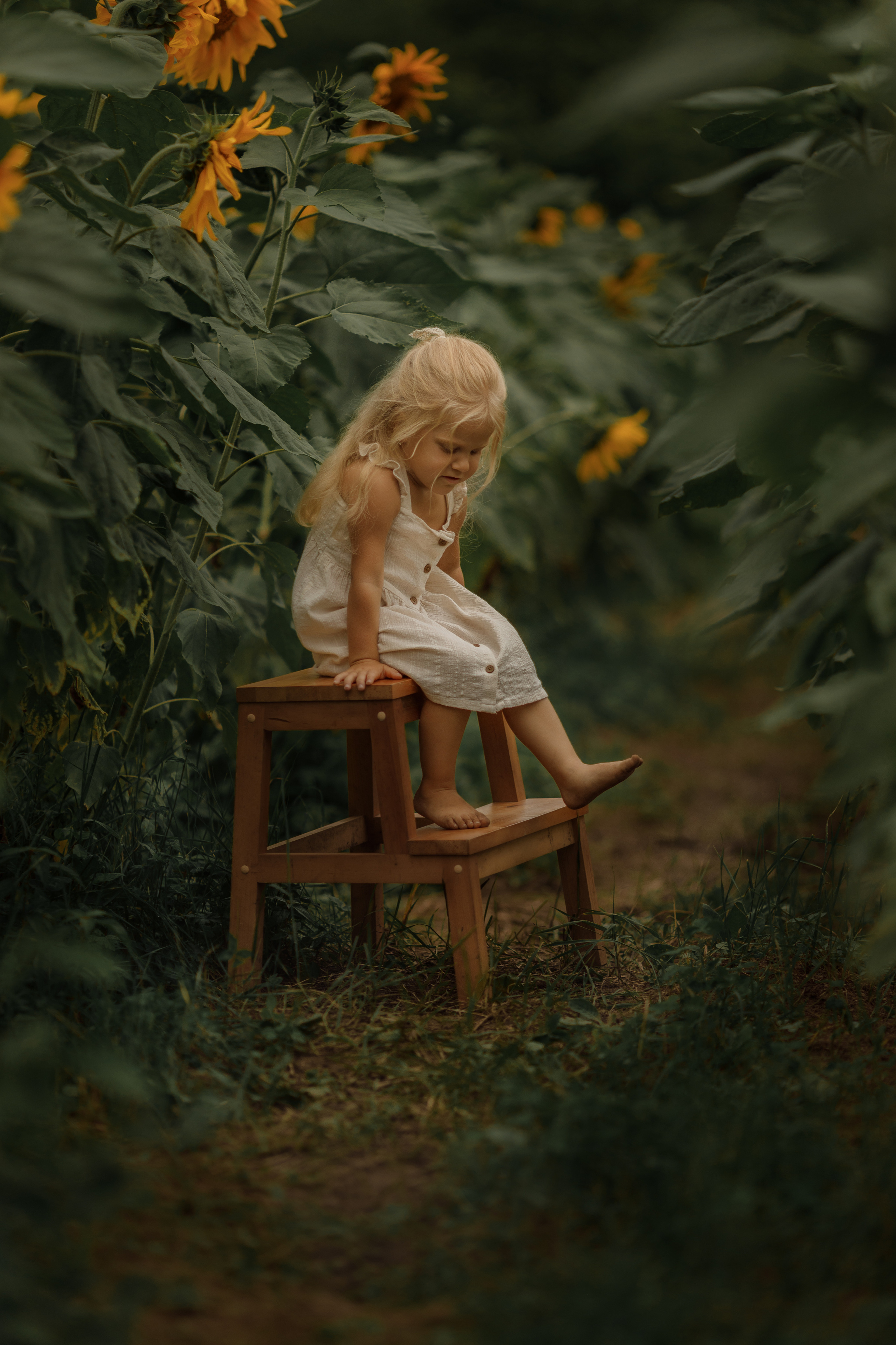 Съемка в подсолнухах. Фотограф женского портрета, беременности и материнства Харькова Елена