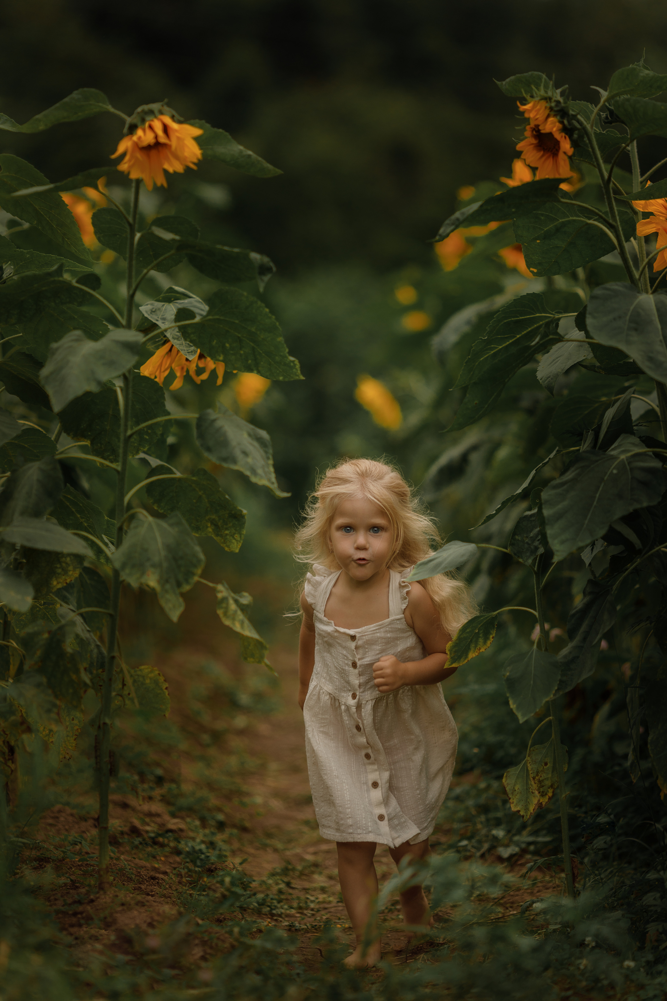 Съемка в подсолнухах. Фотограф женского портрета, беременности и материнства Харькова Елена