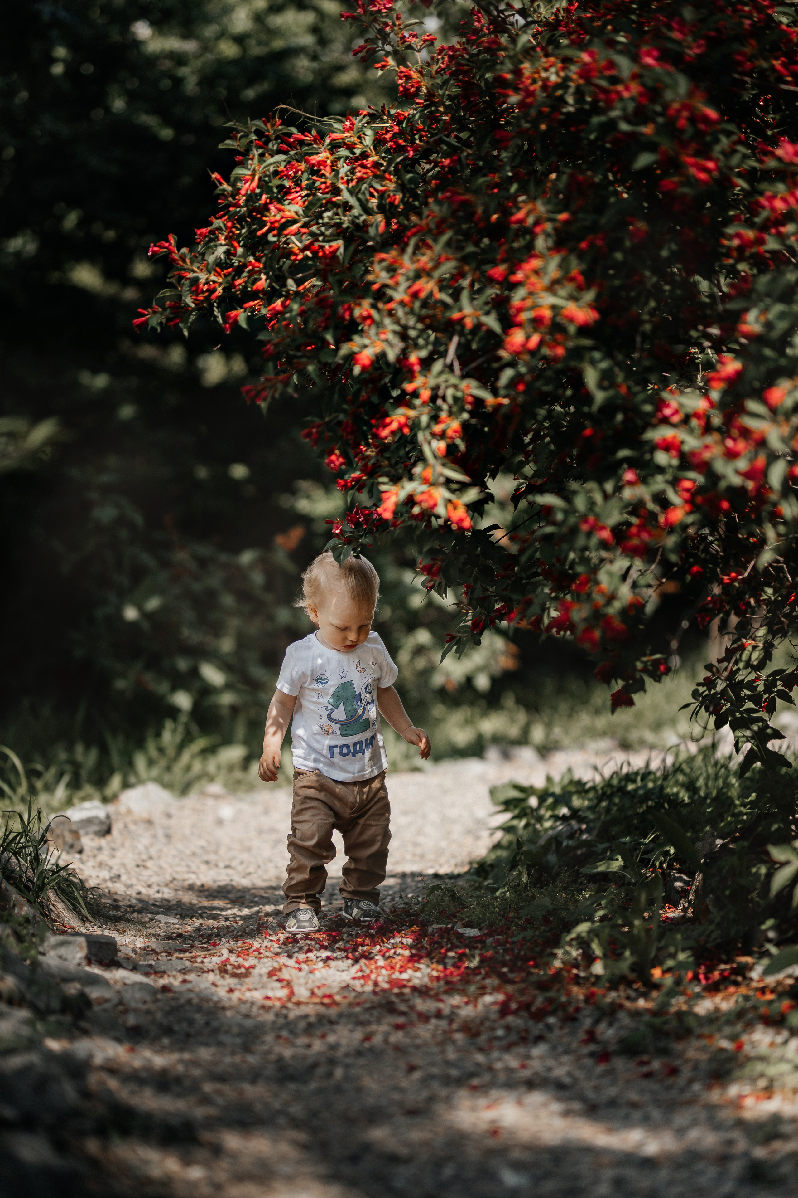 Годовасие в ботаническом саду. Фотограф женского портрета, беременности и материнства Харькова Елена