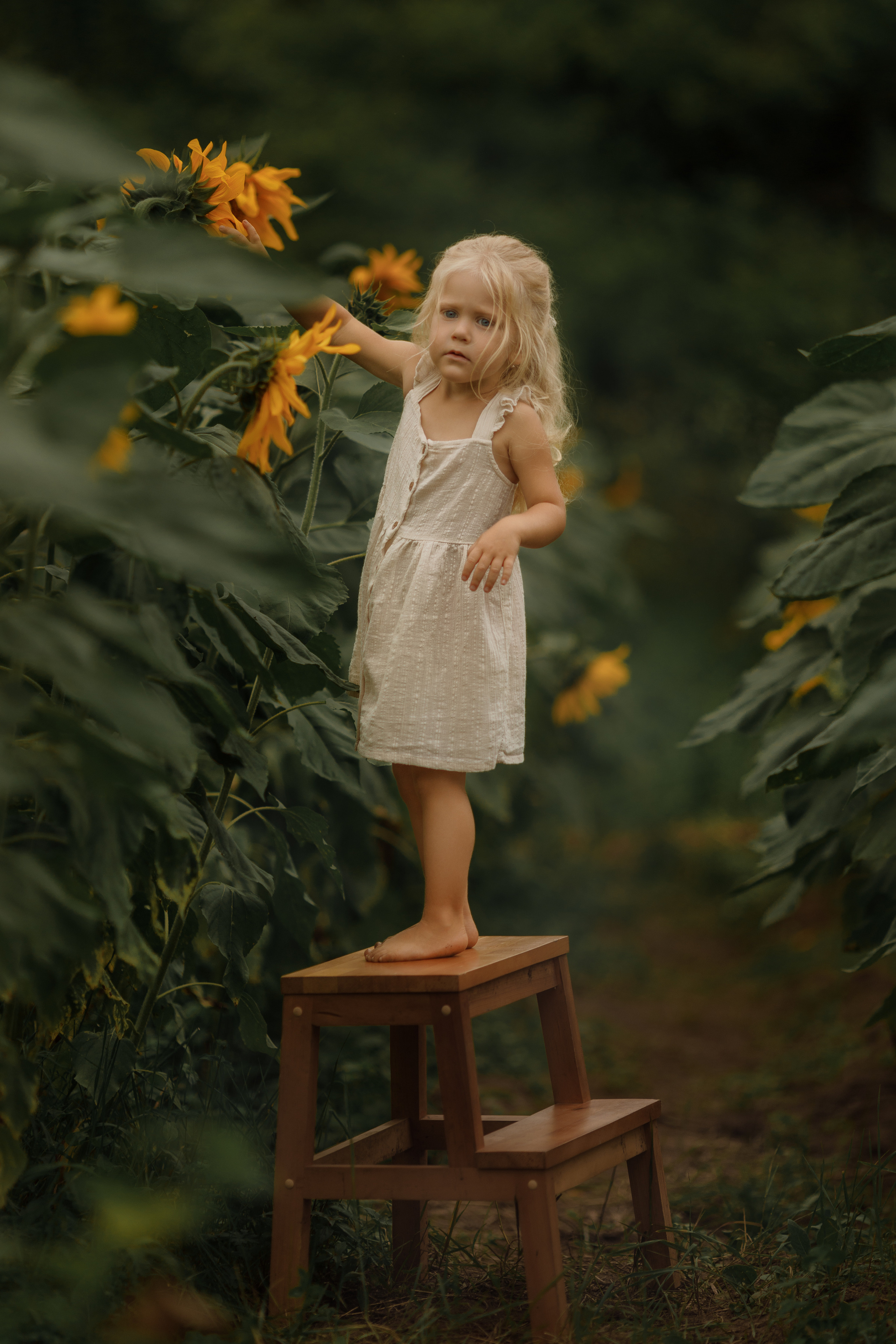 Съемка в подсолнухах. Фотограф женского портрета, беременности и материнства Харькова Елена