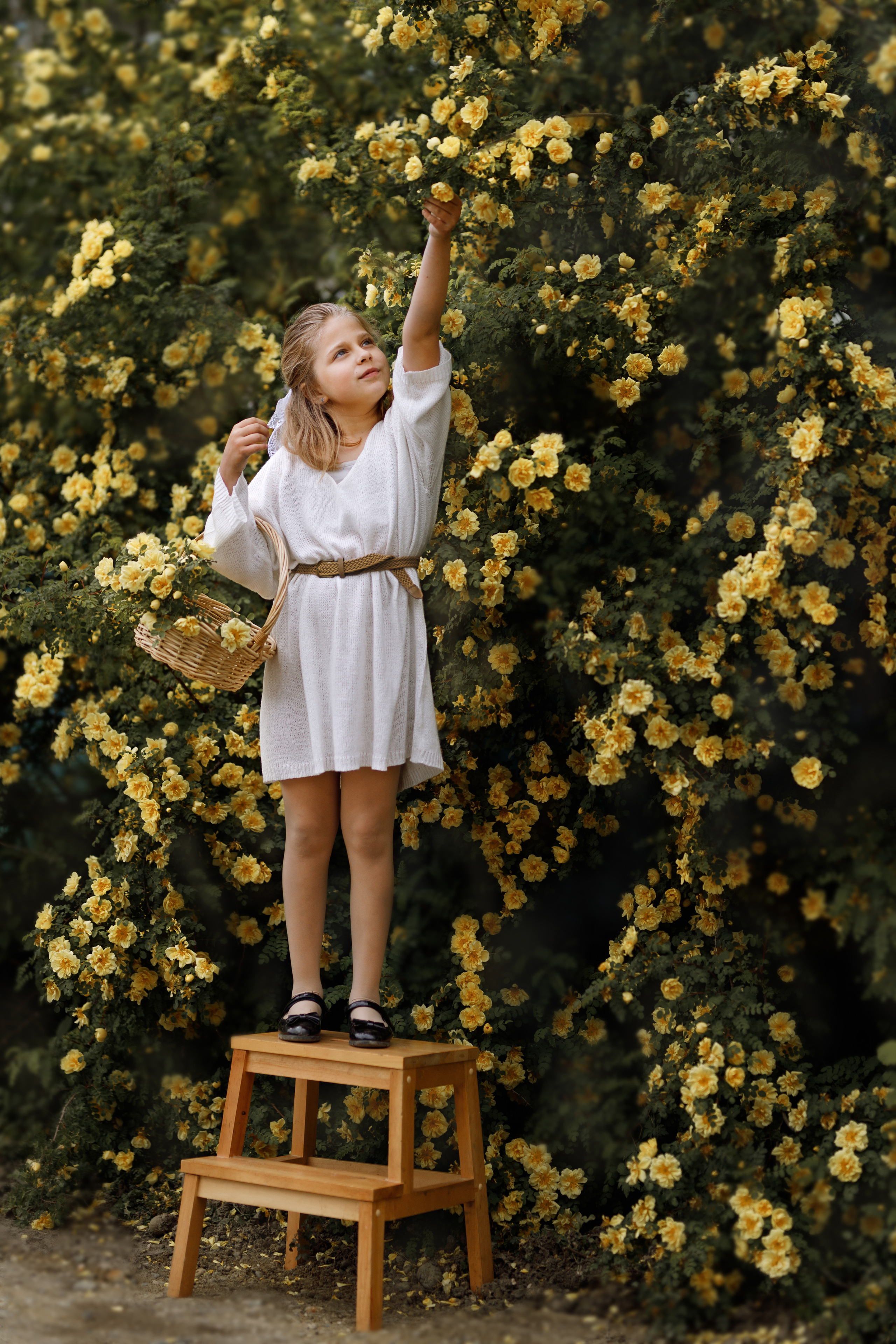 Вероника в розах. Фотограф женского портрета, беременности и материнства Харькова Елена