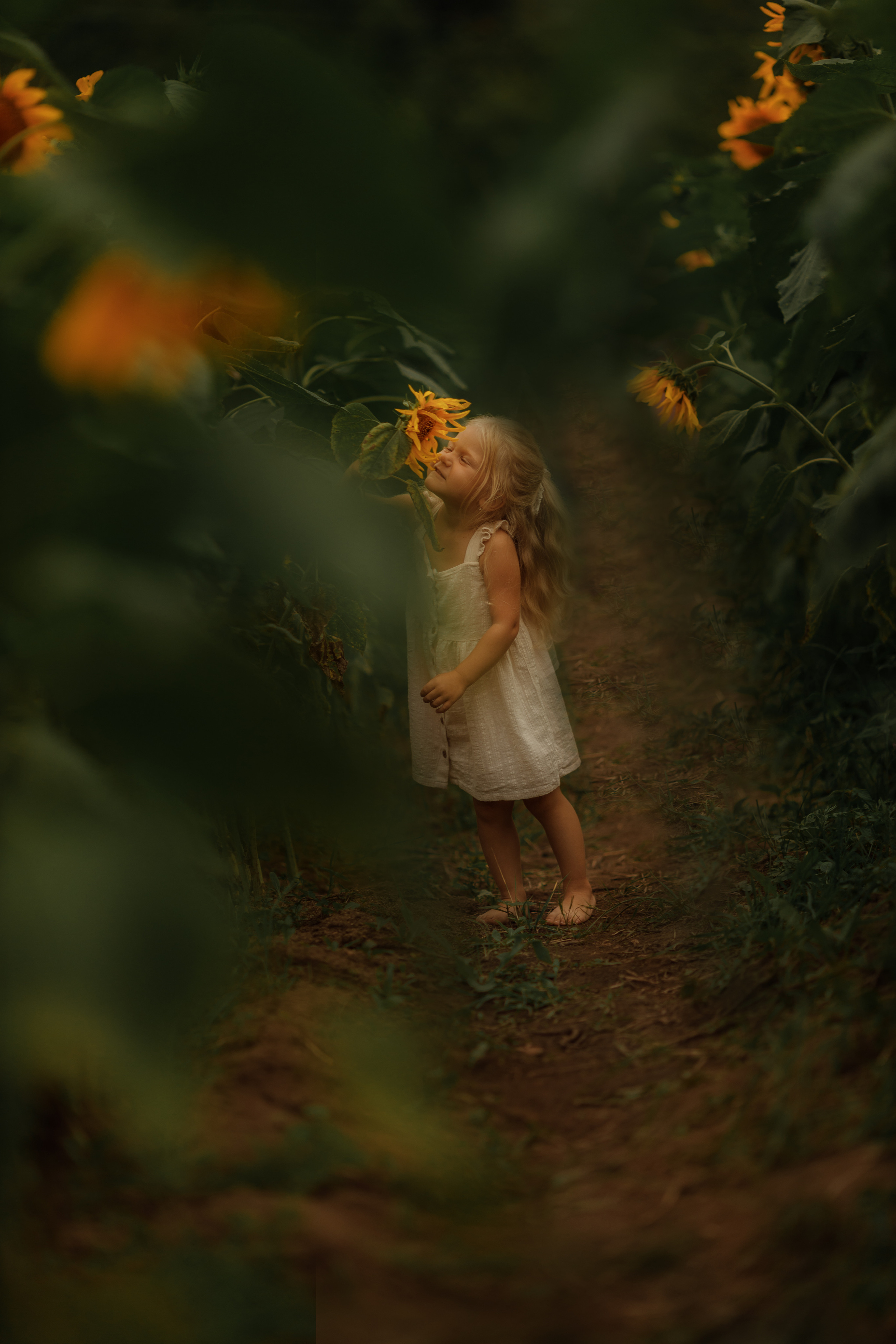 Съемка в подсолнухах. Фотограф женского портрета, беременности и материнства Харькова Елена