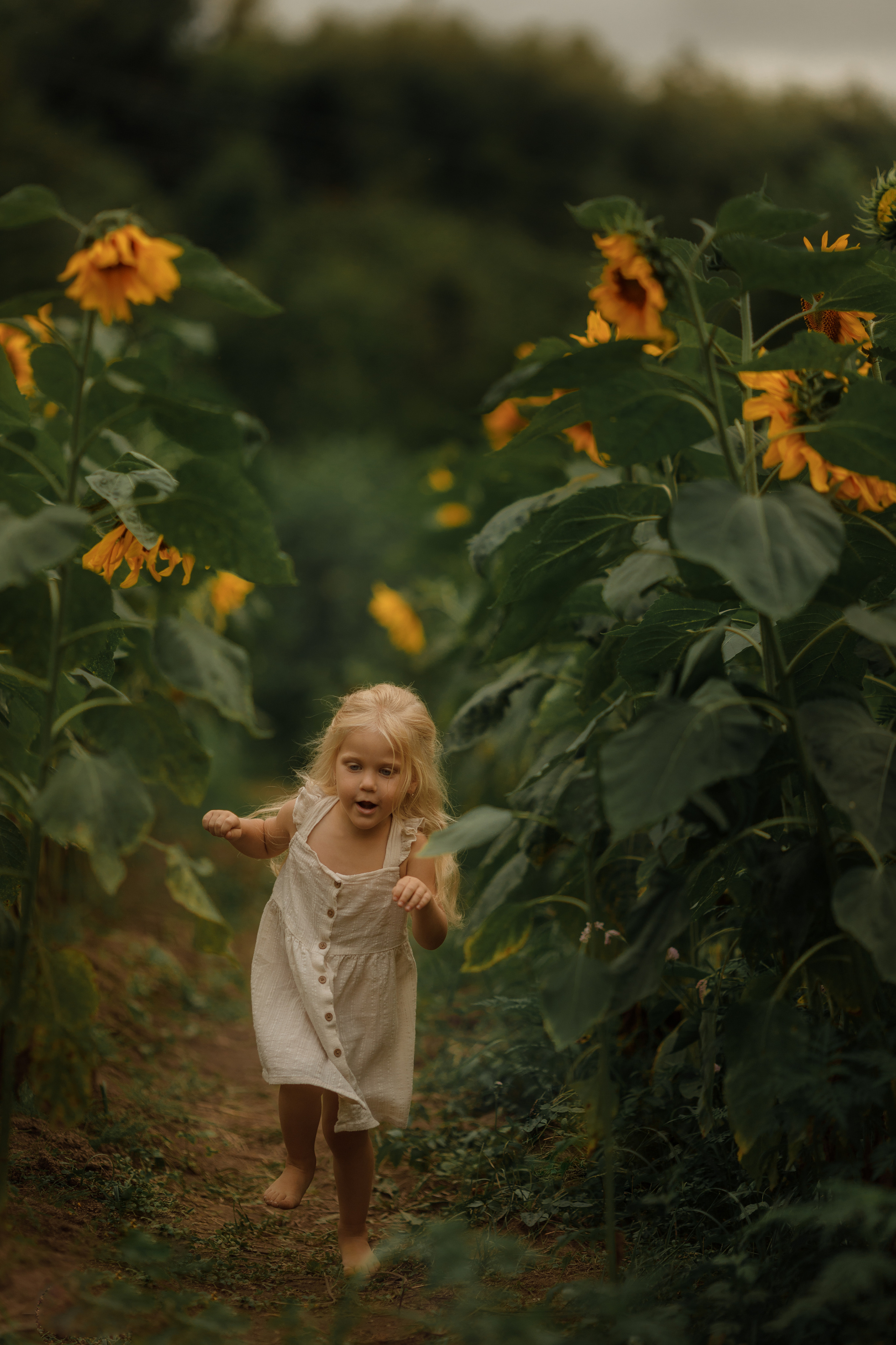 Съемка в подсолнухах. Фотограф женского портрета, беременности и материнства Харькова Елена