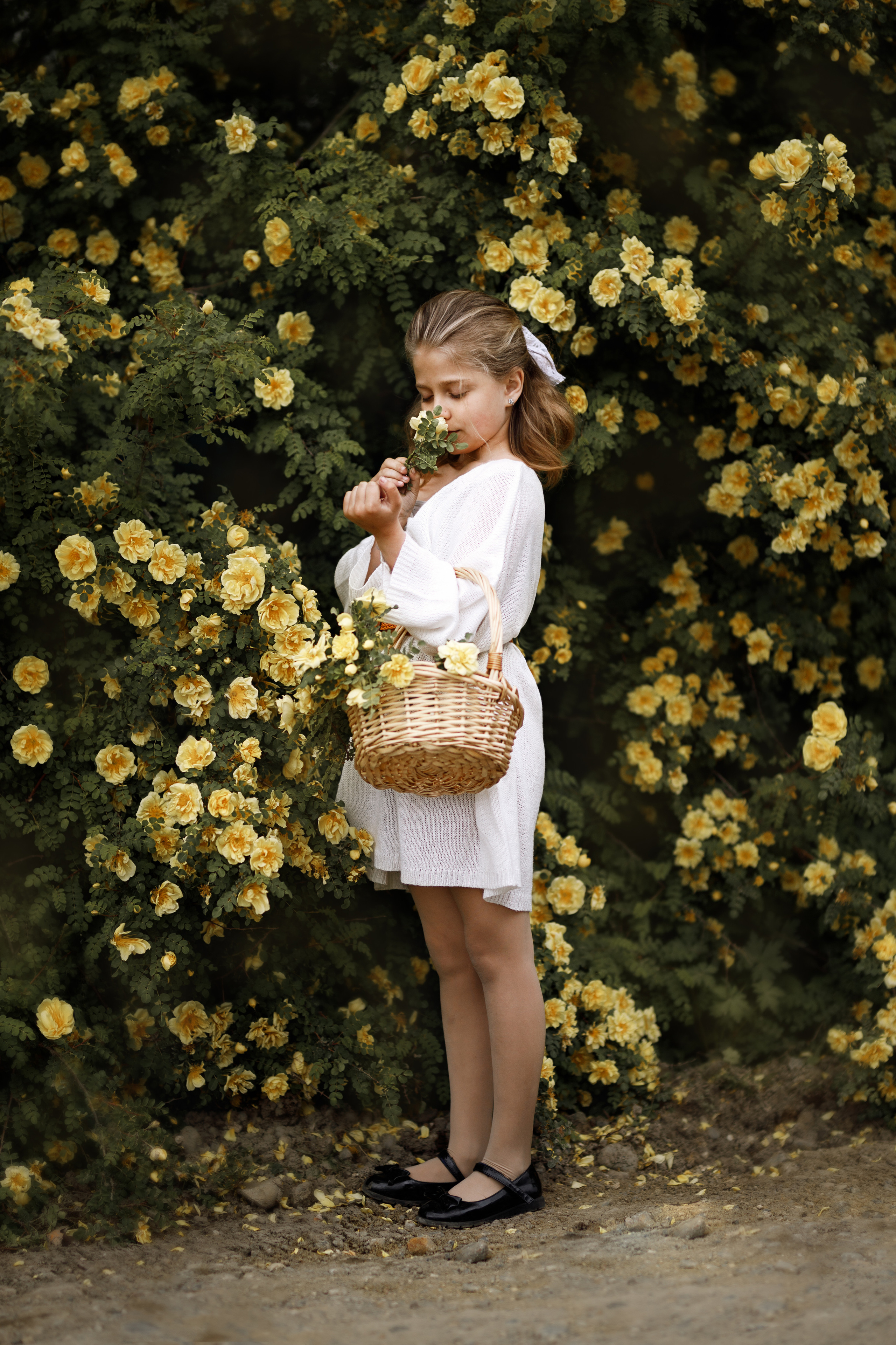 Вероника в розах. Фотограф женского портрета, беременности и материнства Харькова Елена