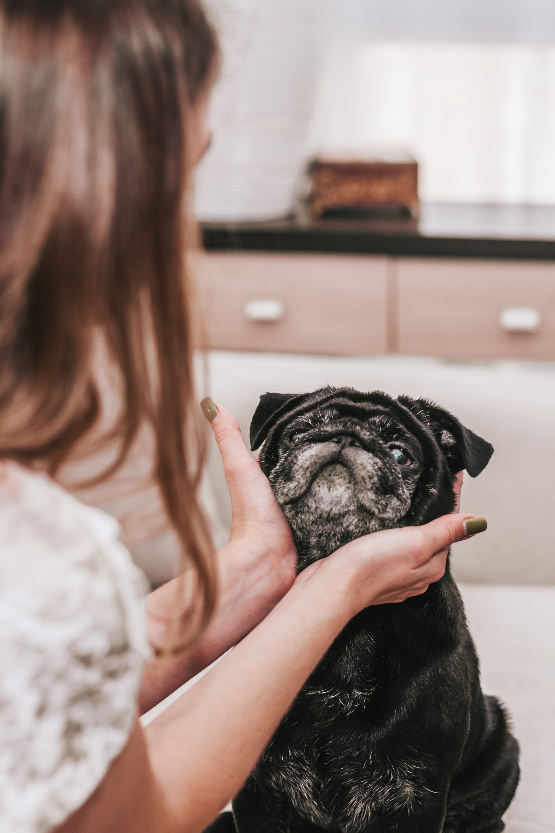 Домашняя фотосессия Оли и двух ее мопсов. Фотограф-анималист Татьяна Степанова