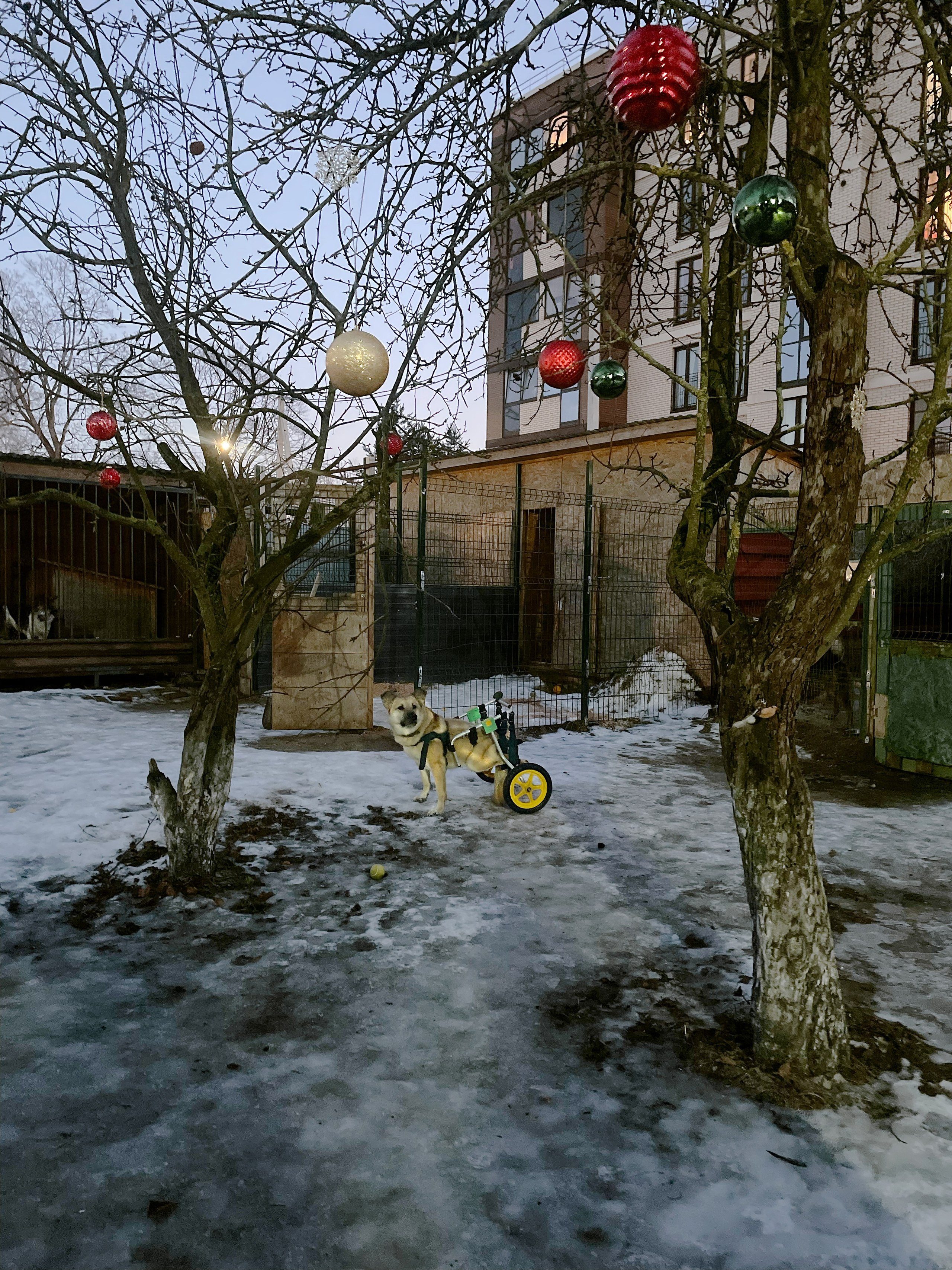 Открытка 10х15см, 200р 