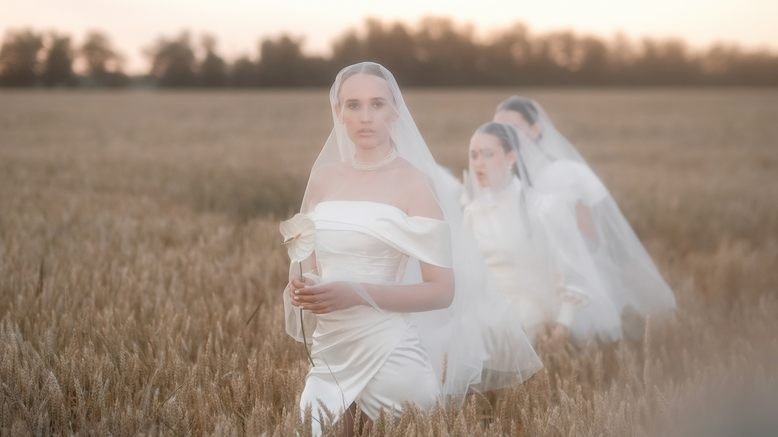 WFE. Свадебный фотограф Артем Ковалев