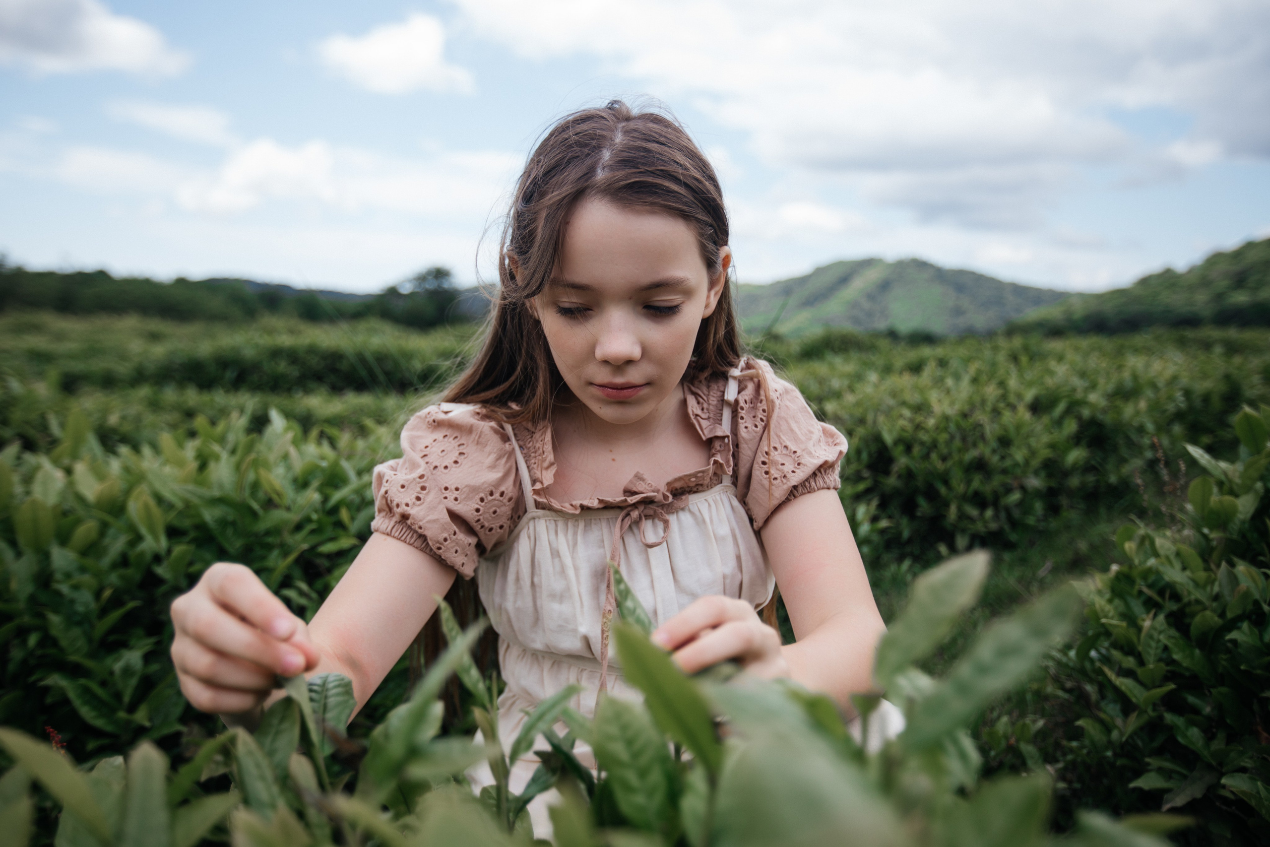Tea plantation. Efimova Model Agency