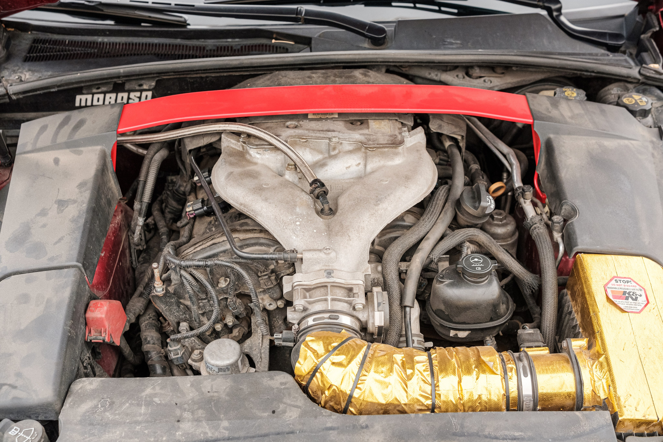 Кэдди. Алексей Никифоров фотограф Москва, Химки