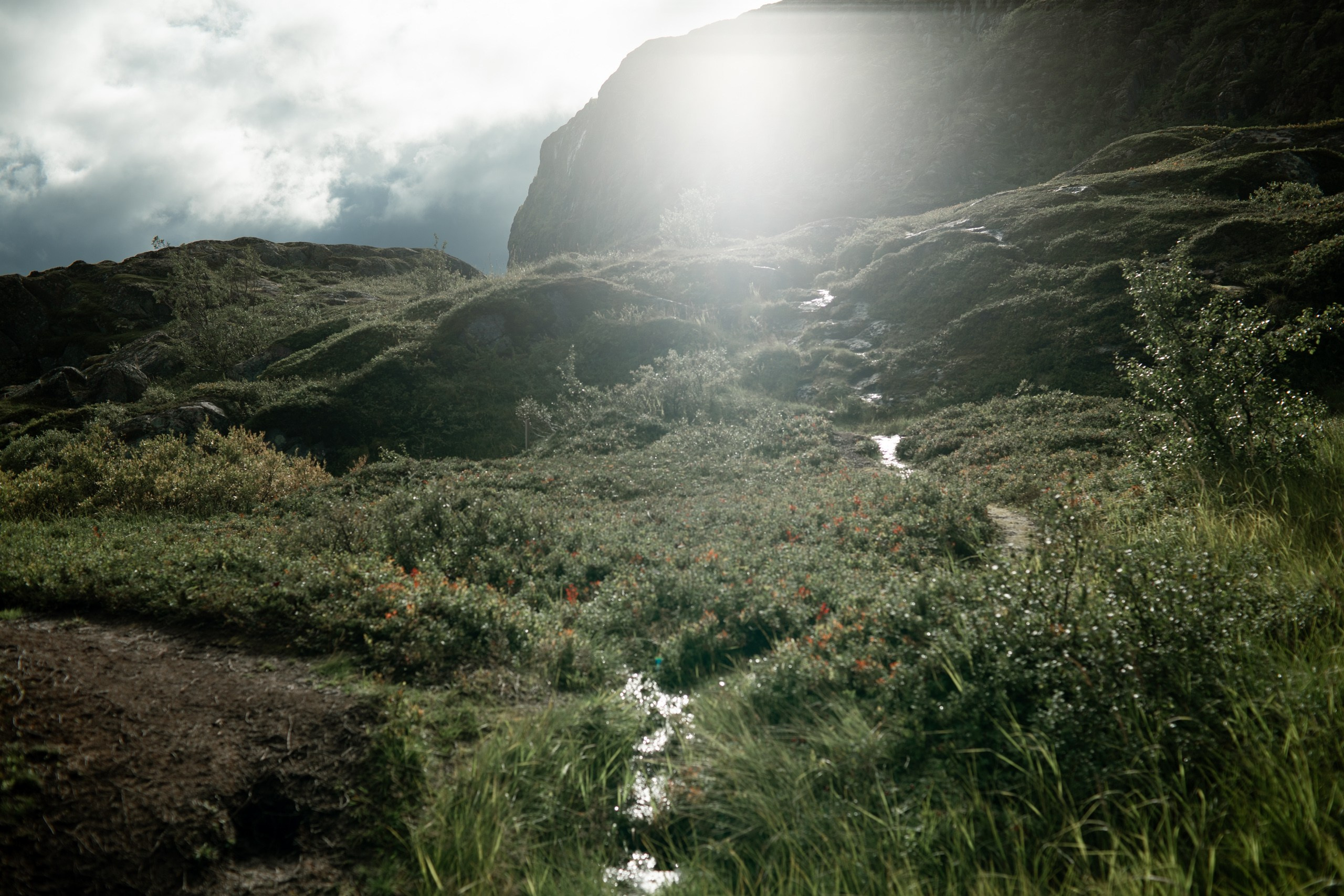Мурманск. Фотограф Сергей Красильников