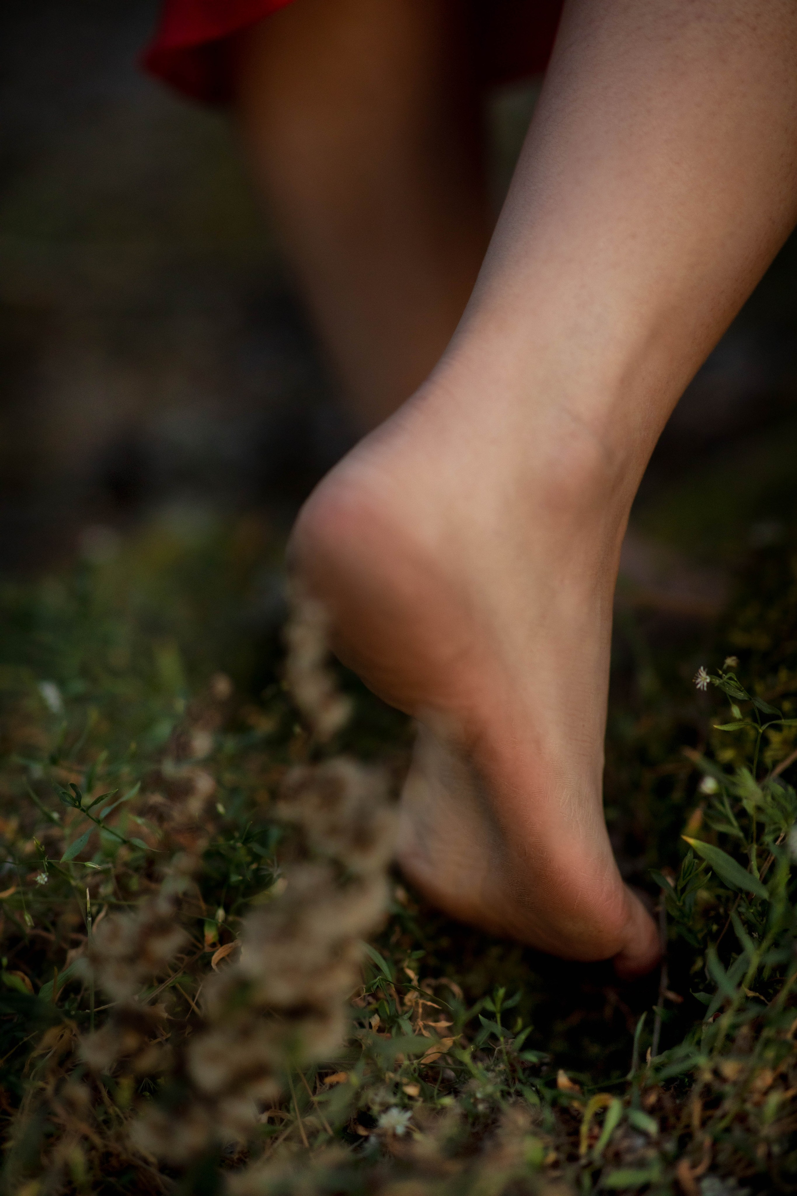 Лесная нимфа