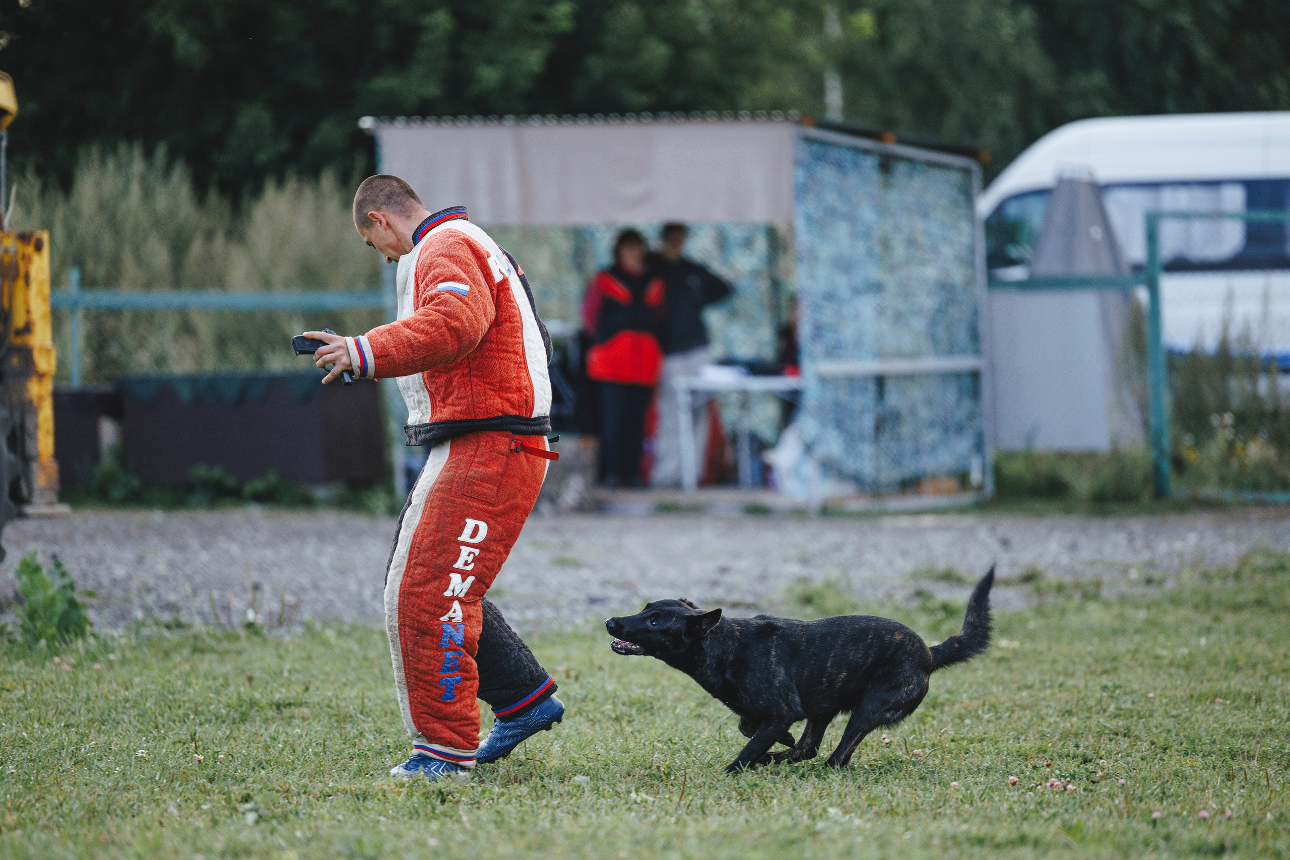 08.08.25-10.08.25 ЧР по мондьорингу г. Вологда. Фотограф-анималист Анна Маринич