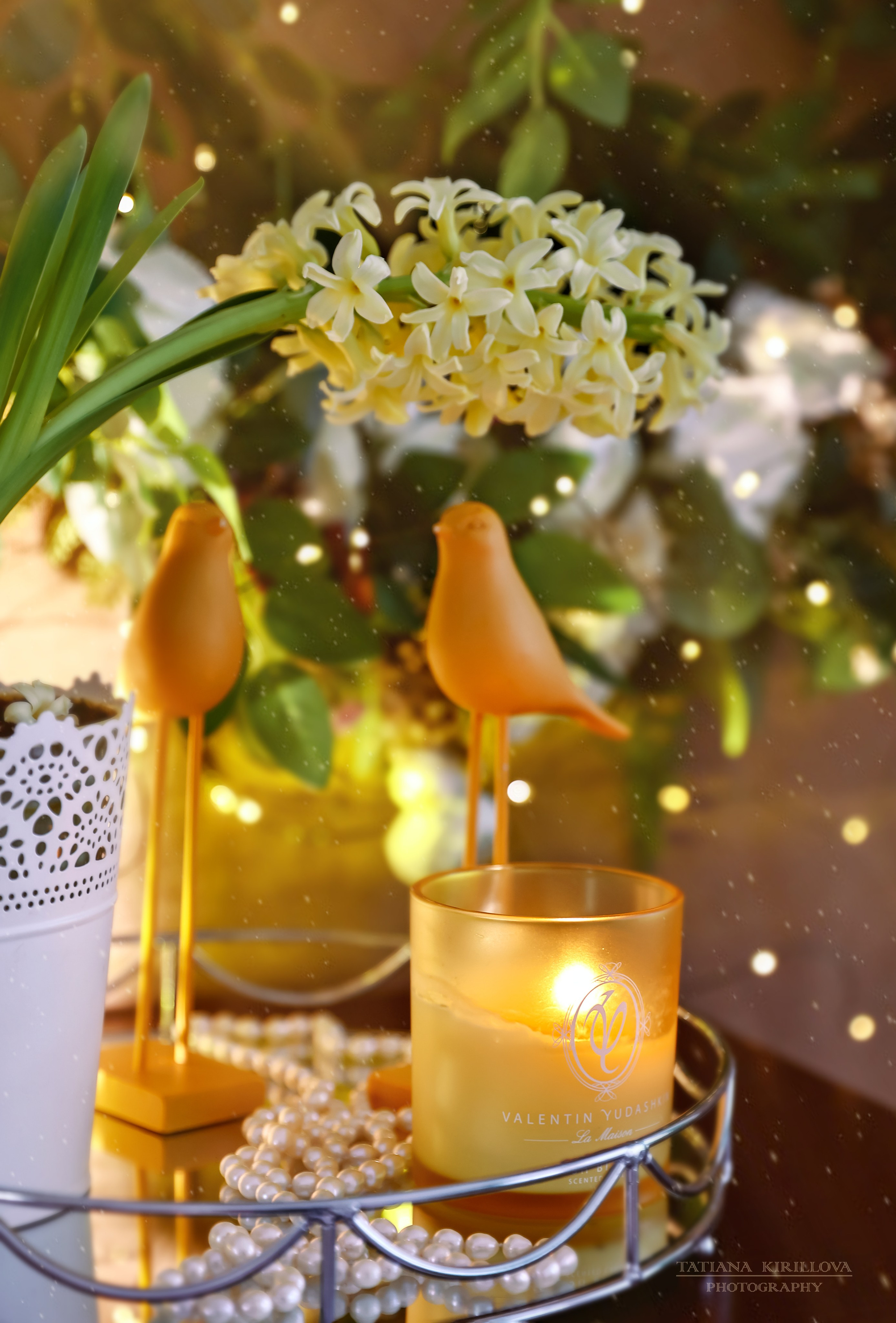 Предметная съемка, цветы, открытки. Фотограф — Татьяна Кириллова, г. Санкт-Петербург